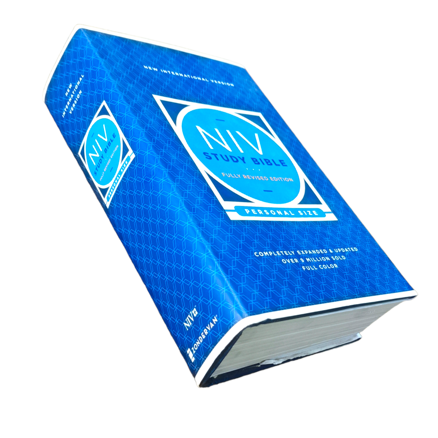NIV Study Bible In English