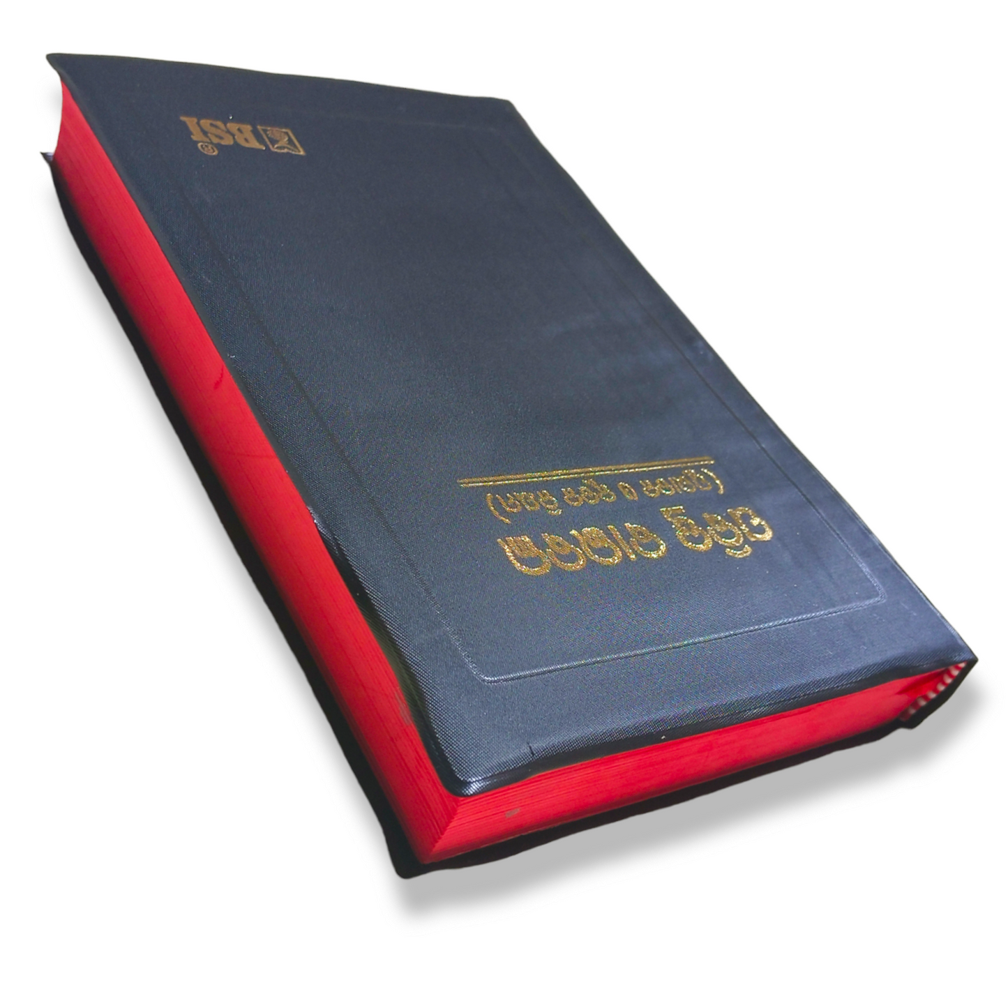 The Holy Bible In Odia