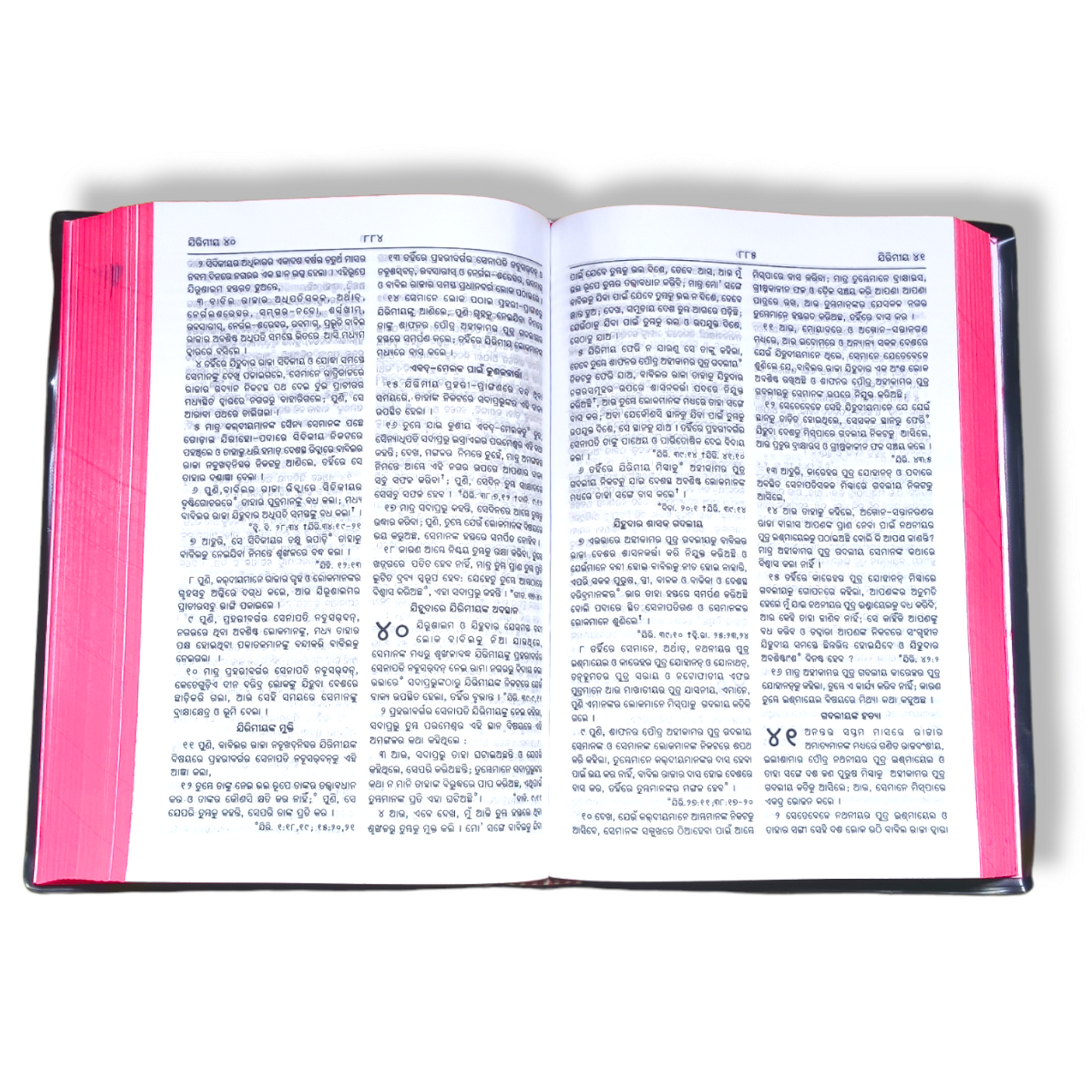 The Holy Bible In Odia