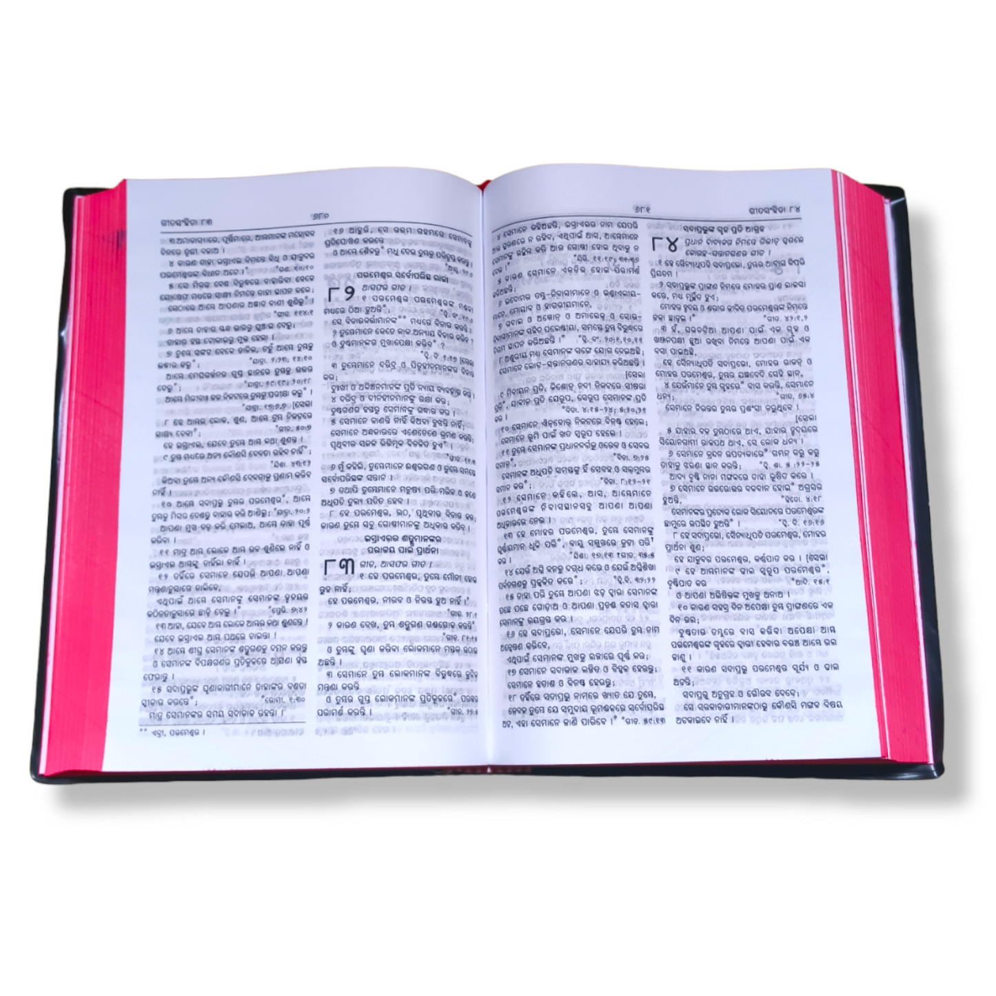 The Holy Bible In Odia