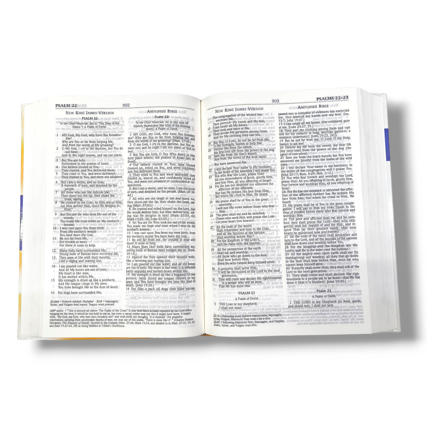 NKJV Amplified Parallel Bible | Study Bible | Large Printed Bible | New Edition | Hard Bound