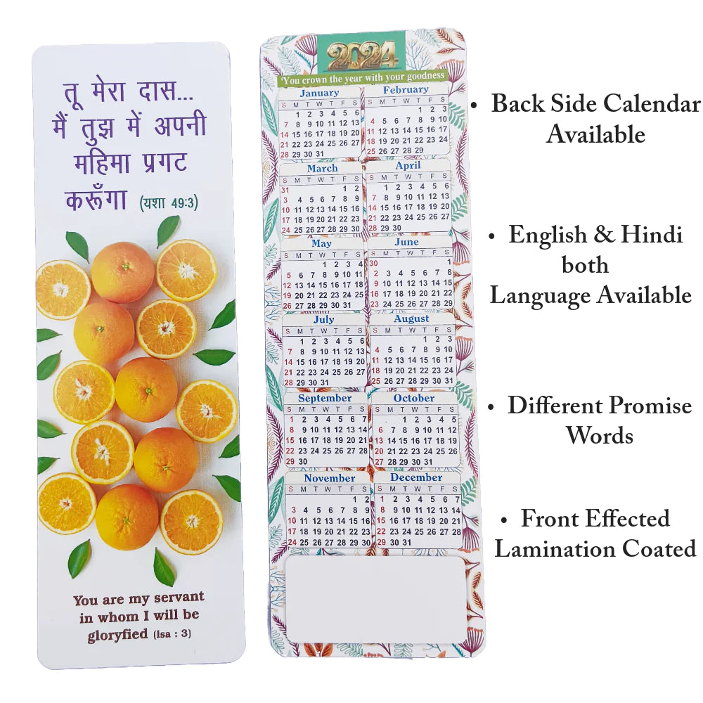 2025 Bible Verse Promise Card | 100 Piece In 1 Box