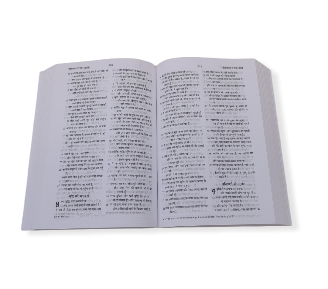 The Holy Hindi Bible Semi Compact With Golden Key Chaine