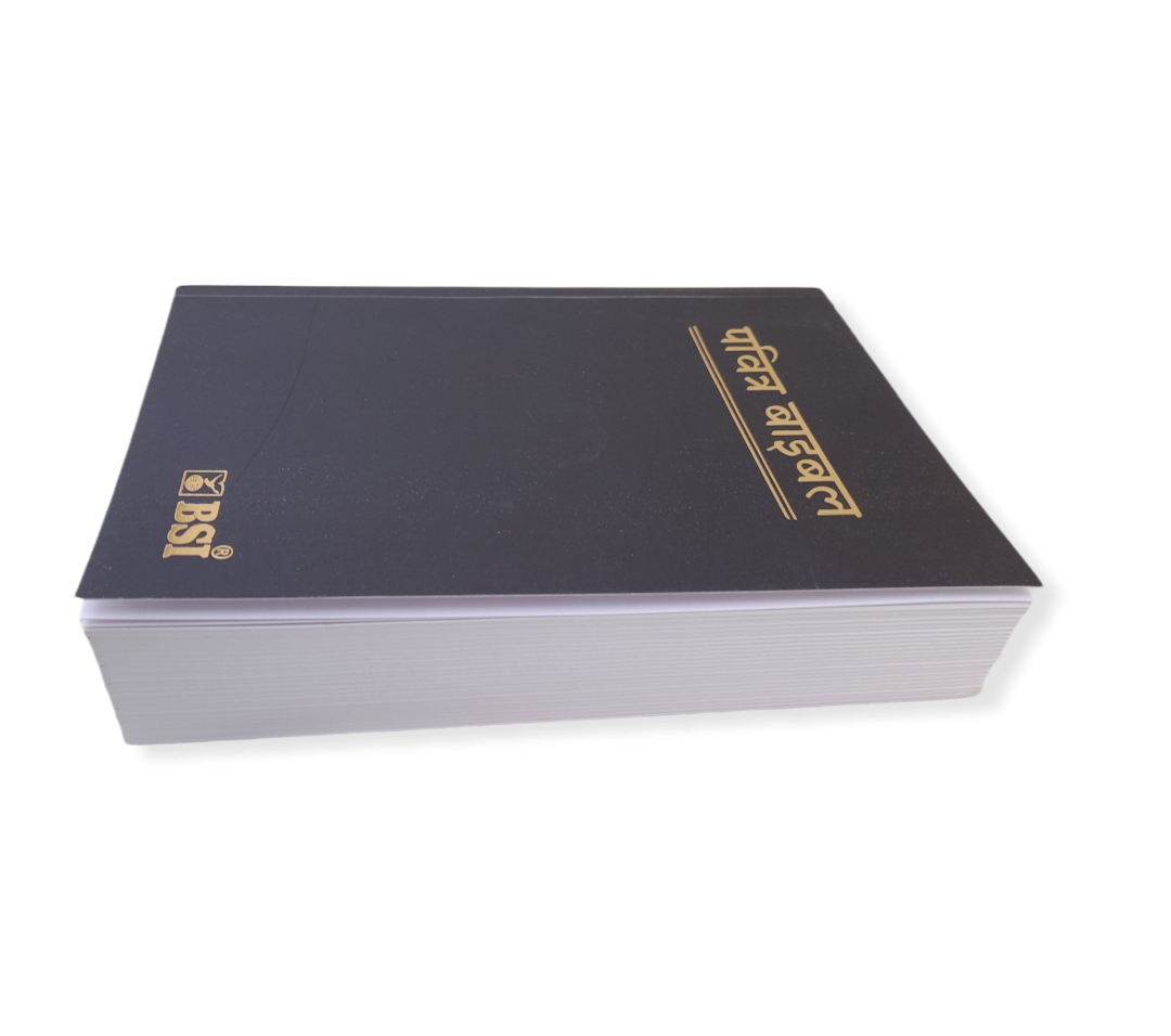 The Holy Hindi Bible Semi Compact With Golden Key Chaine
