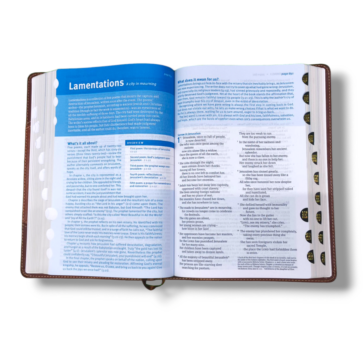 NLT Christian Basics Bible | Brown Tan Soft Imitation Leather | New Edition