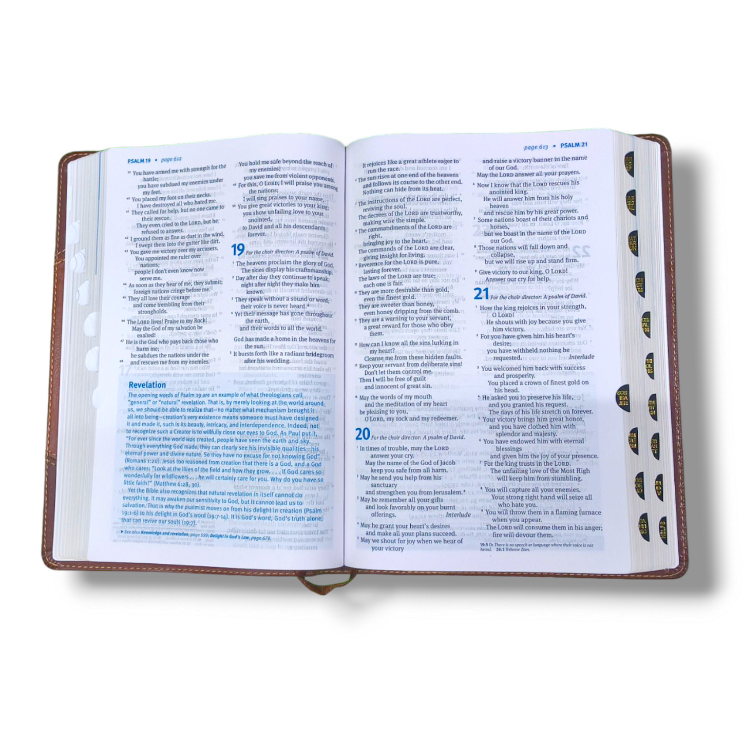 NLT Christian Basics Bible | Brown Tan Soft Imitation Leather | New Edition