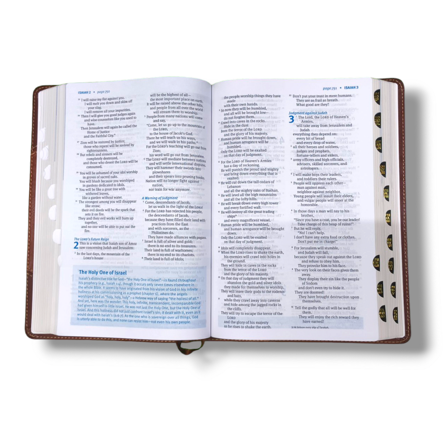NLT Christian Basics Bible | Brown Tan Soft Imitation Leather | New Edition