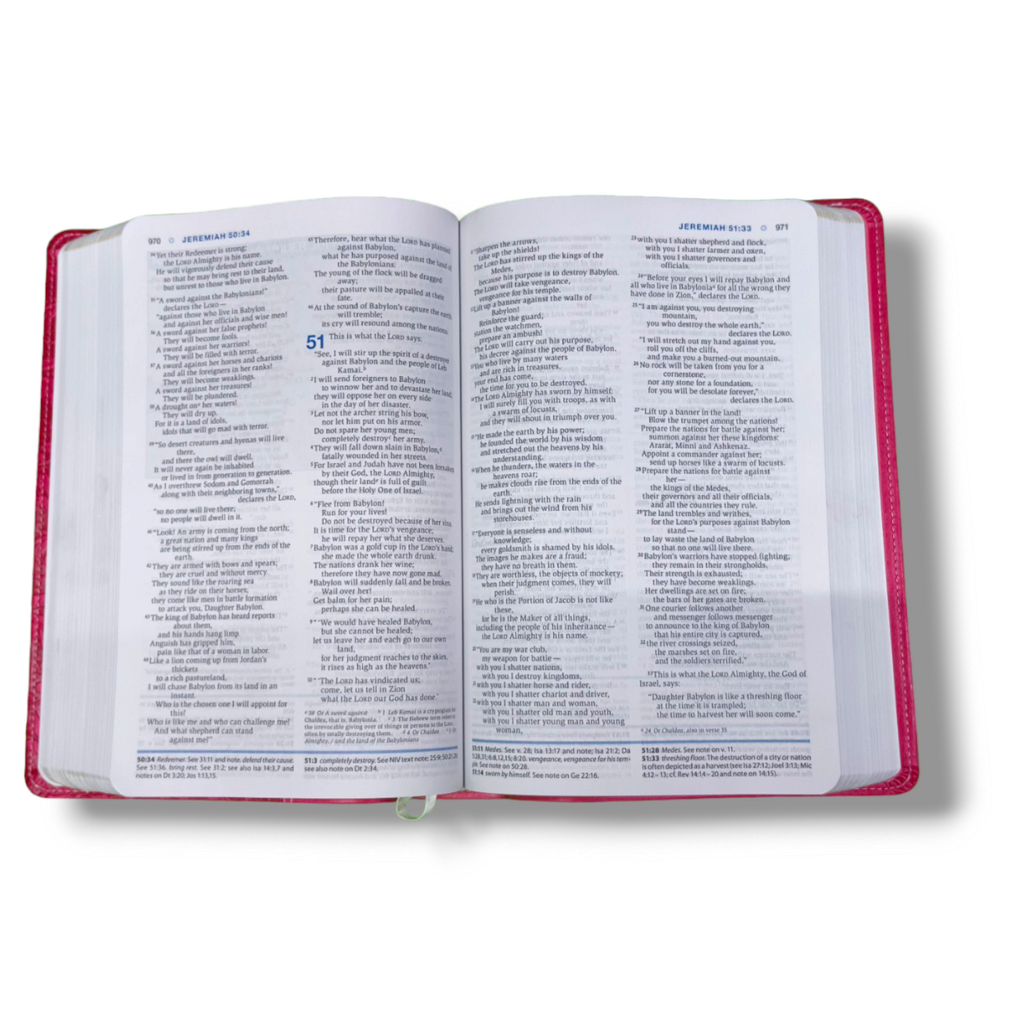NIV Essentials Study Bible | New Edition | NIV Version | Attractive Pink Bound