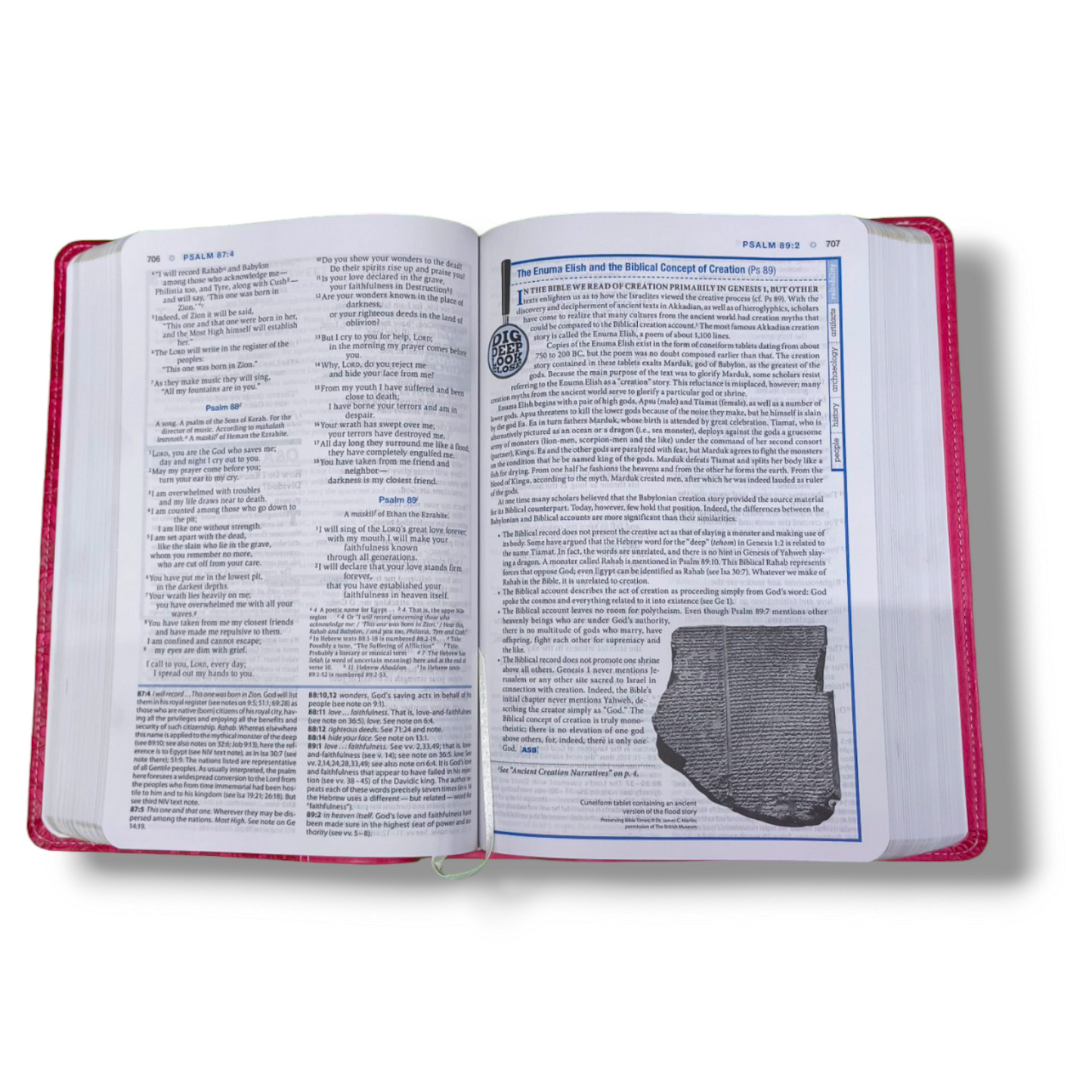 NIV Essentials Study Bible | New Edition | NIV Version | Attractive Pink Bound