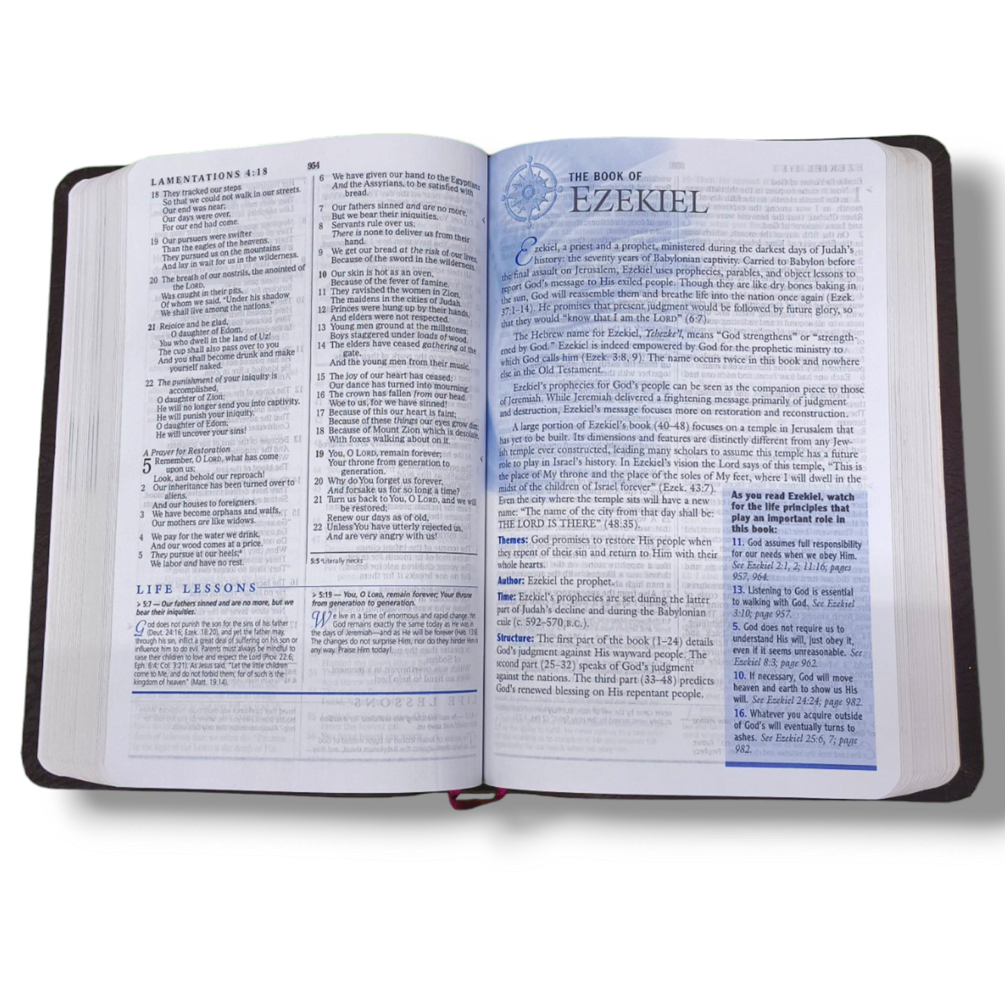 The Charles F. Stanley Life Principles Bible by Charles Stanley | New Edition | Brown Tan Soft Imitation Leather
