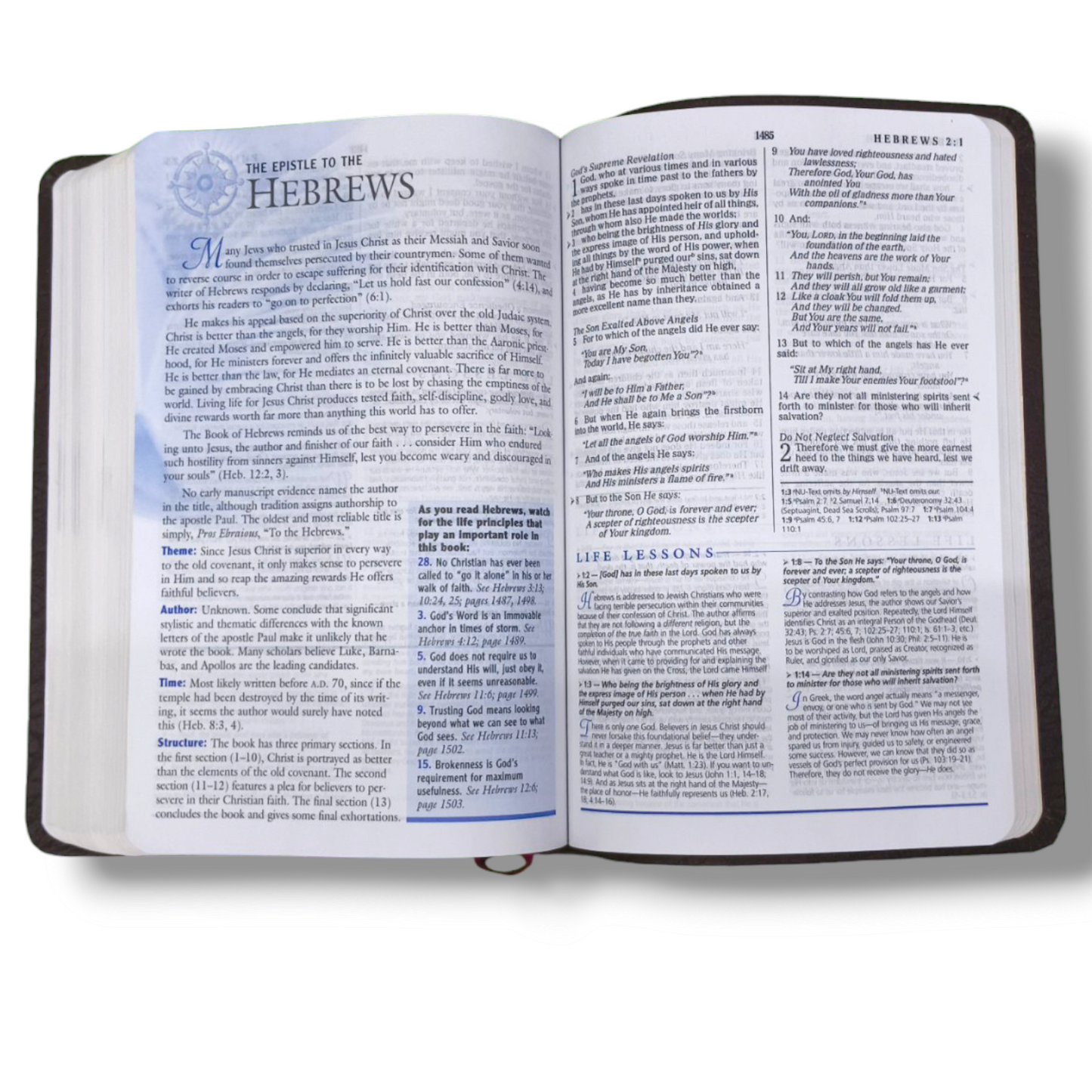 The Charles F. Stanley Life Principles Bible by Charles Stanley | New Edition | Brown Tan Soft Imitation Leather