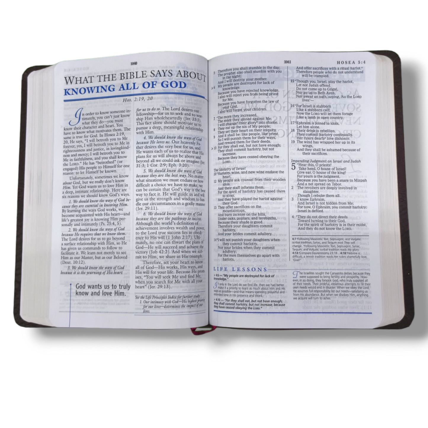 The Charles F. Stanley Life Principles Bible by Charles Stanley | New Edition | Brown Tan Soft Imitation Leather