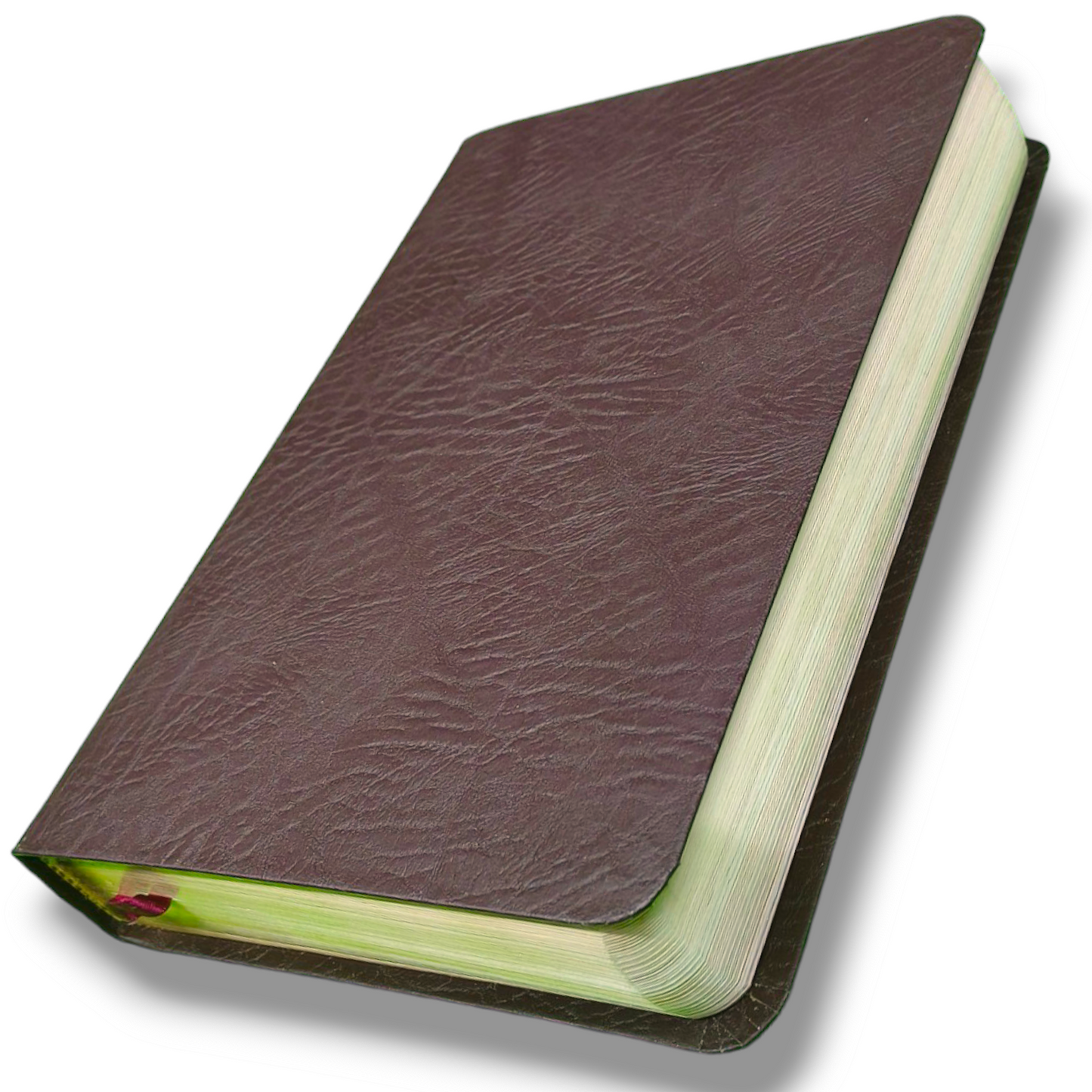 The Charles F. Stanley Life Principles Bible by Charles Stanley | New Edition | Brown Tan Soft Imitation Leather