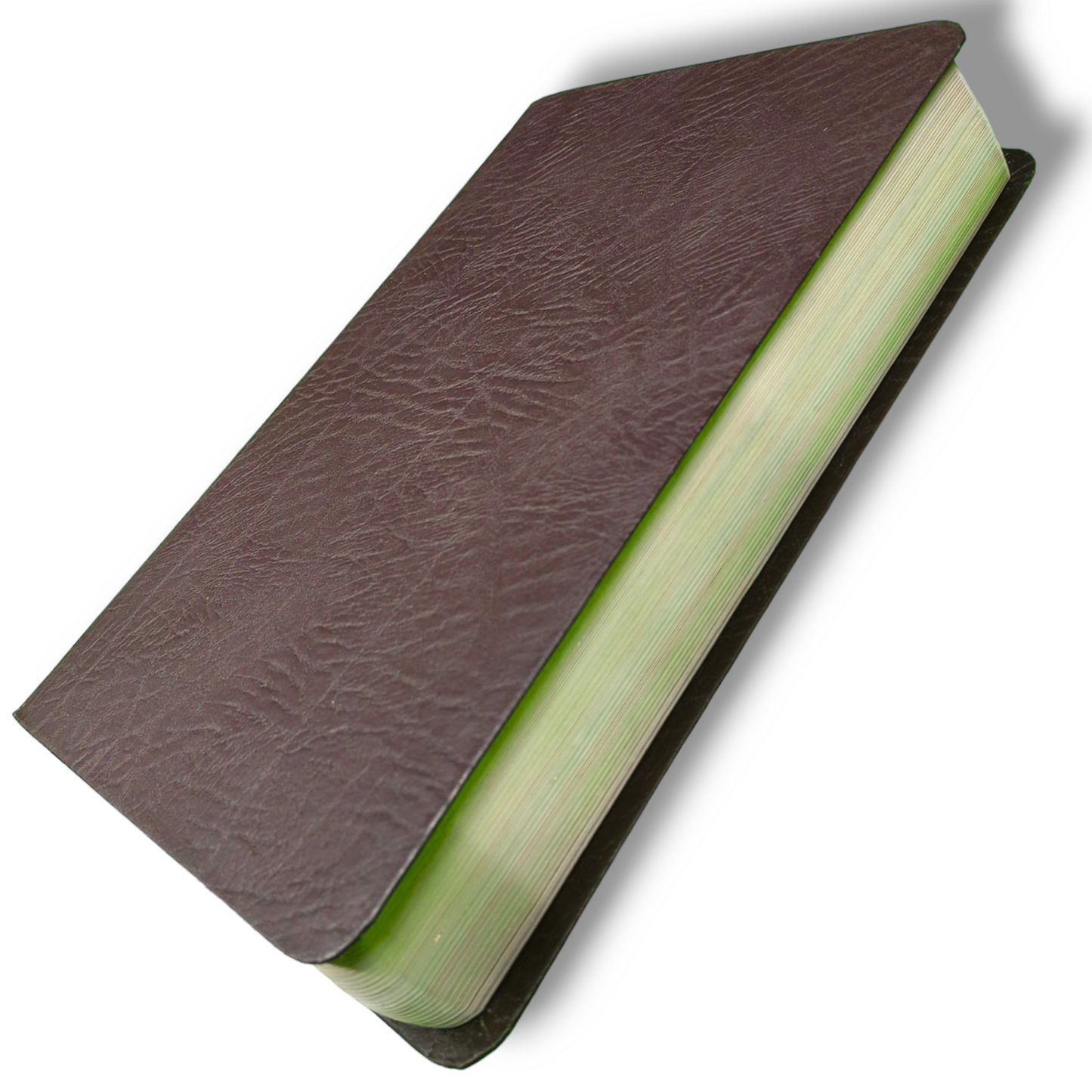The Charles F. Stanley Life Principles Bible by Charles Stanley | New Edition | Brown Tan Soft Imitation Leather