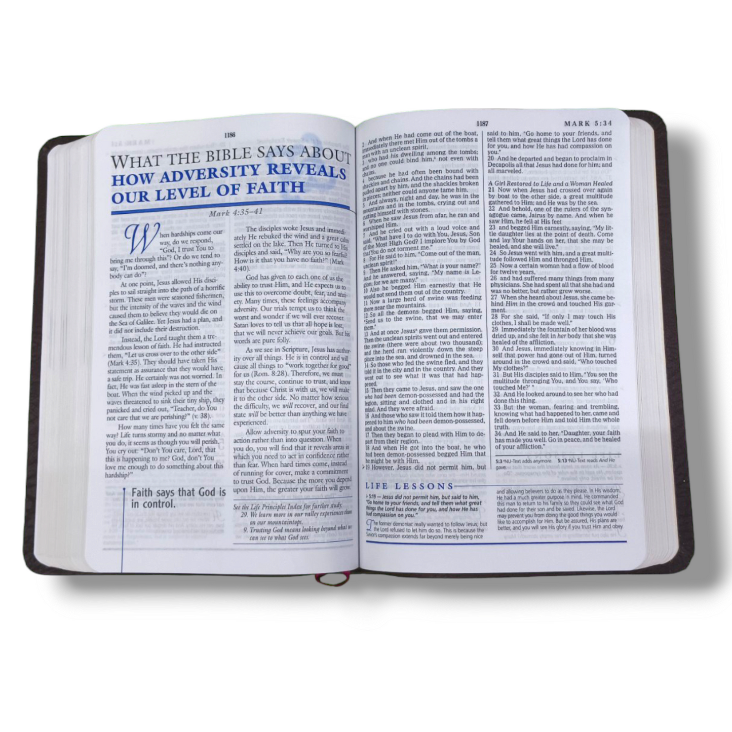 The Charles F. Stanley Life Principles Bible by Charles Stanley | New Edition | Brown Tan Soft Imitation Leather