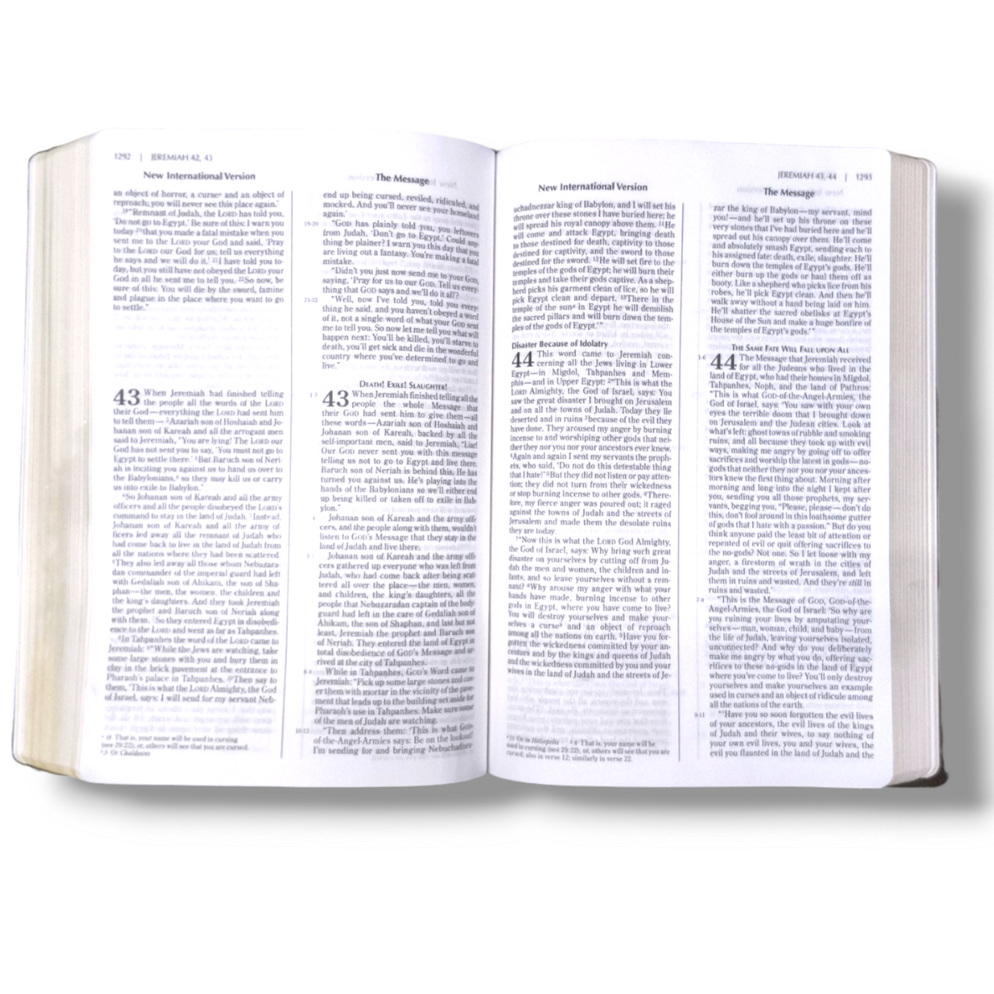 NIV & The Message Side-By-Side Bible | Attractive Design Bound | New International Version | Study Bible | New Edition