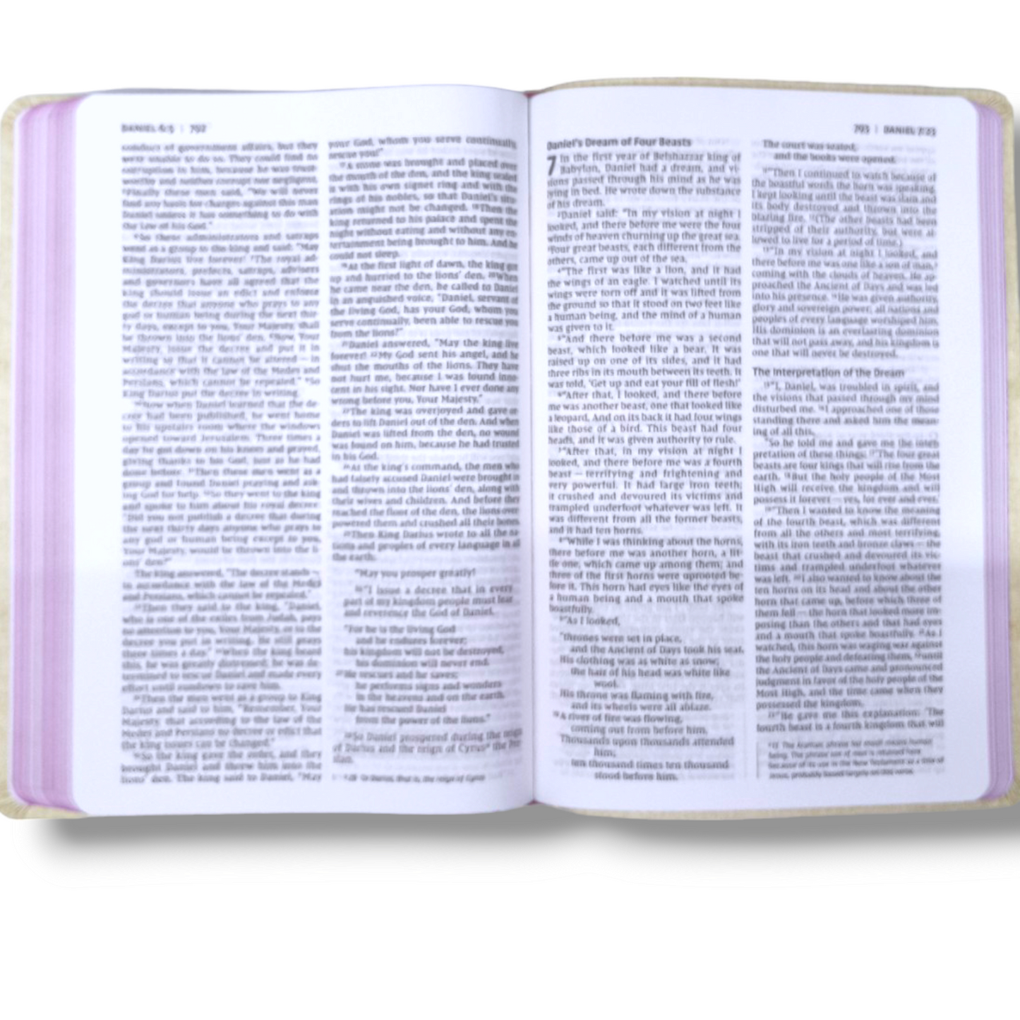 NIV Thinline Bible | Large Print Bible | New Edition | Attractive Pink Design Bound Cover