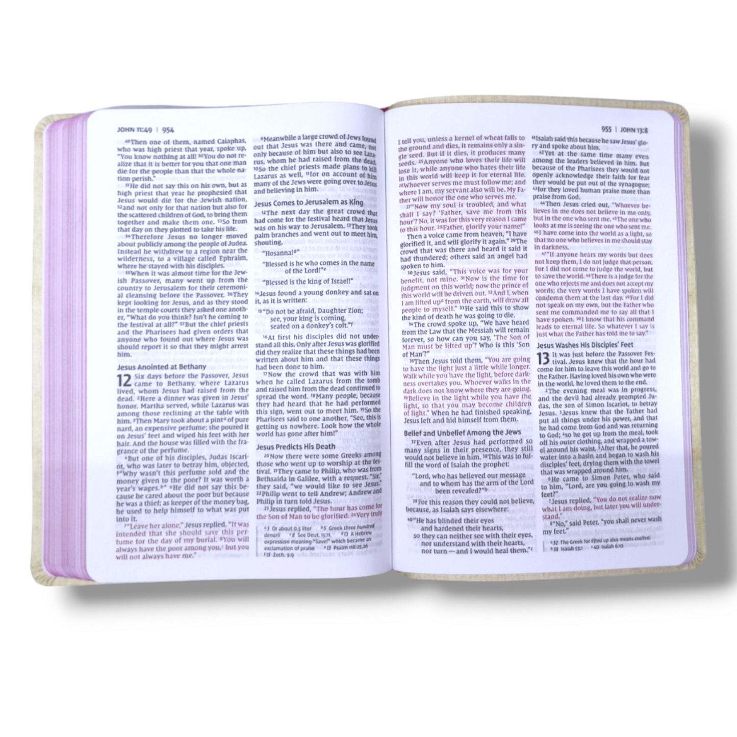NIV Thinline Bible | Large Print Bible | New Edition | Attractive Pink Design Bound Cover