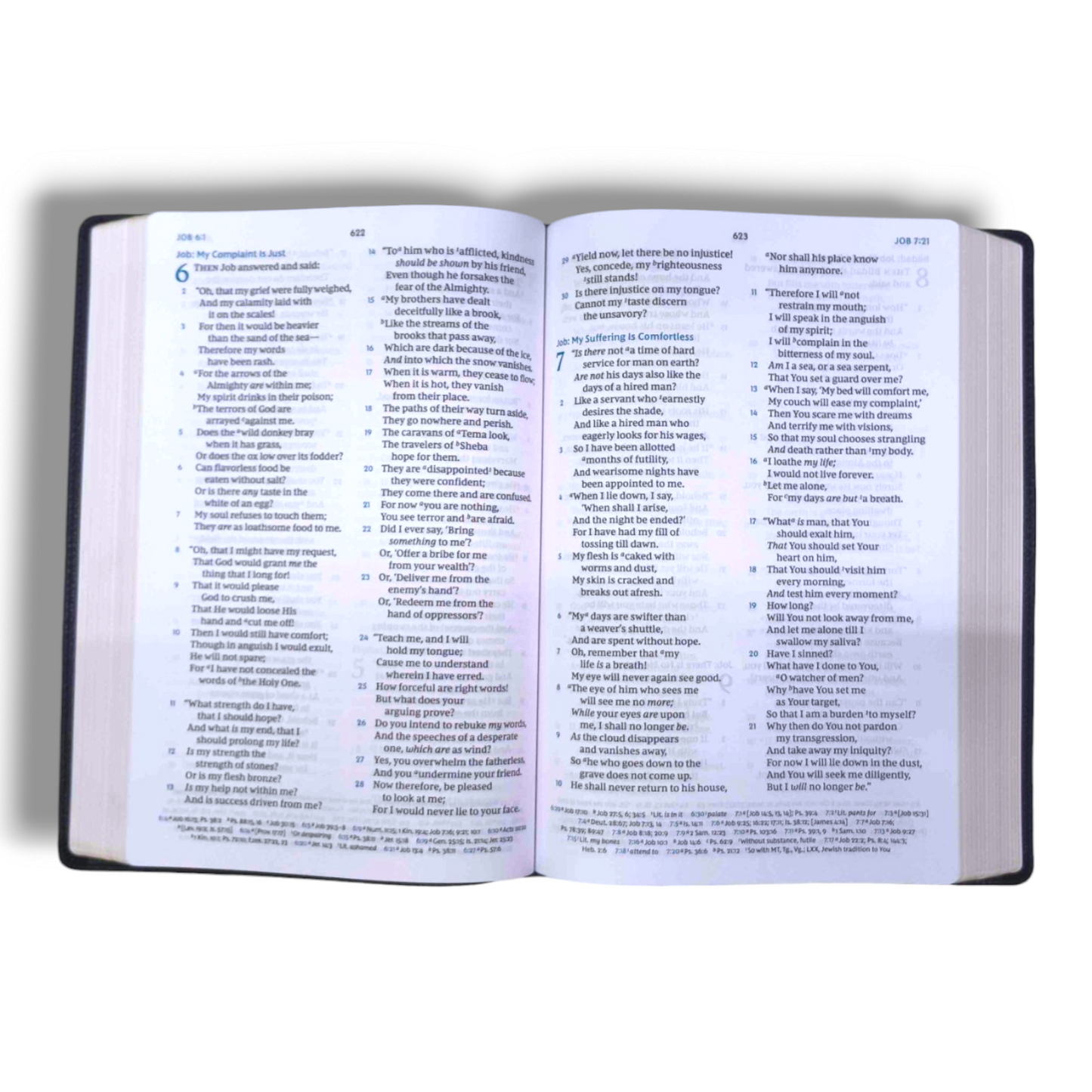 NIV Thinline Bible | Large Print Bible | New Edition | Attractive Pink Design Bound Cover