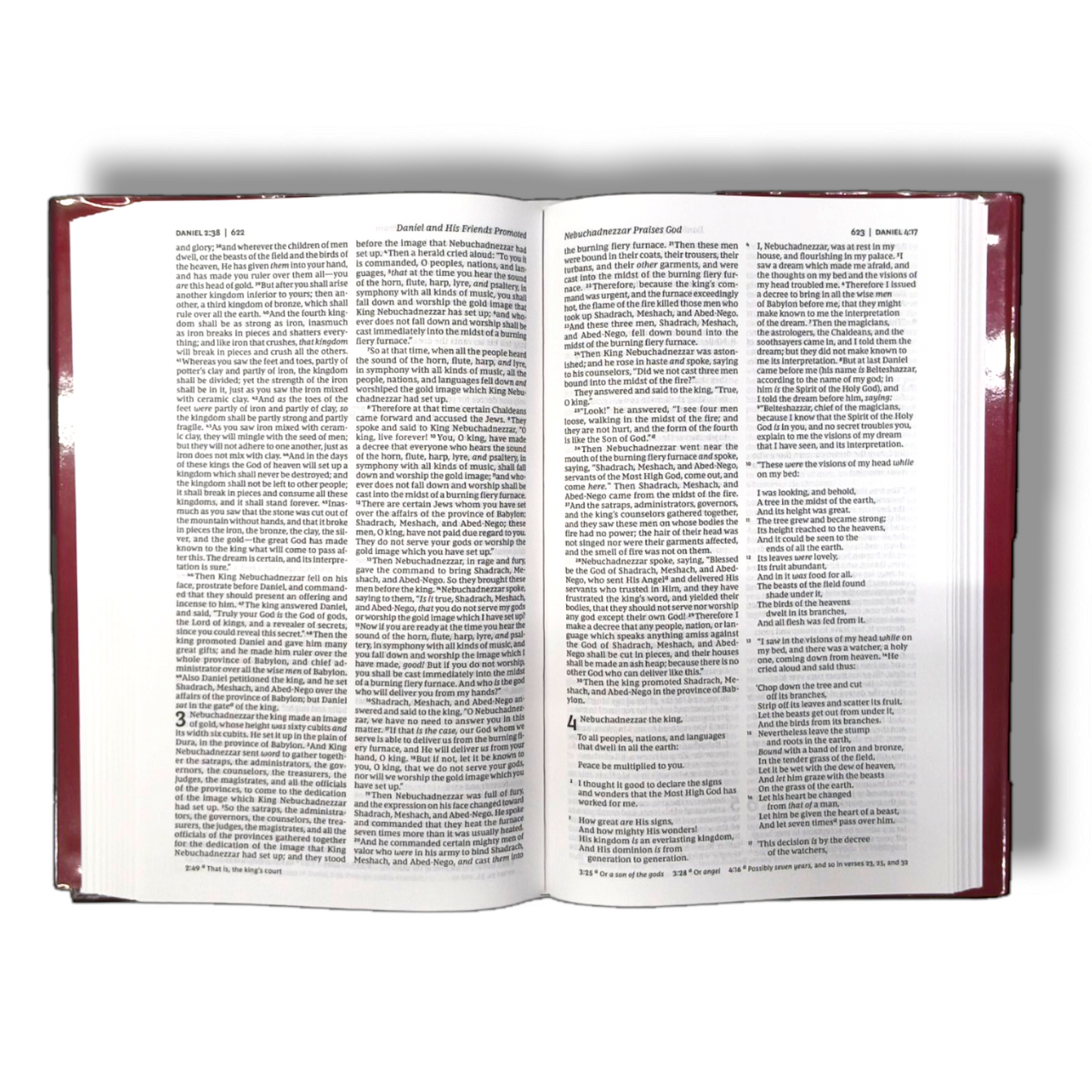Thomas Nelson Pew Bible | NKJV Version | New Edition | Brown Hard Bound