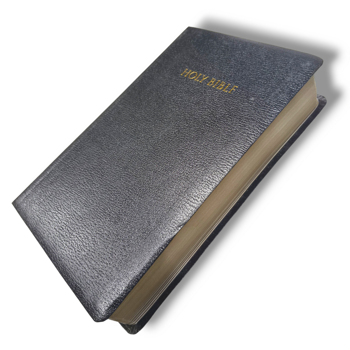NIV Reference Bible | Large Print | Black Leather Bound | Italian Duo-Tone | New Edition