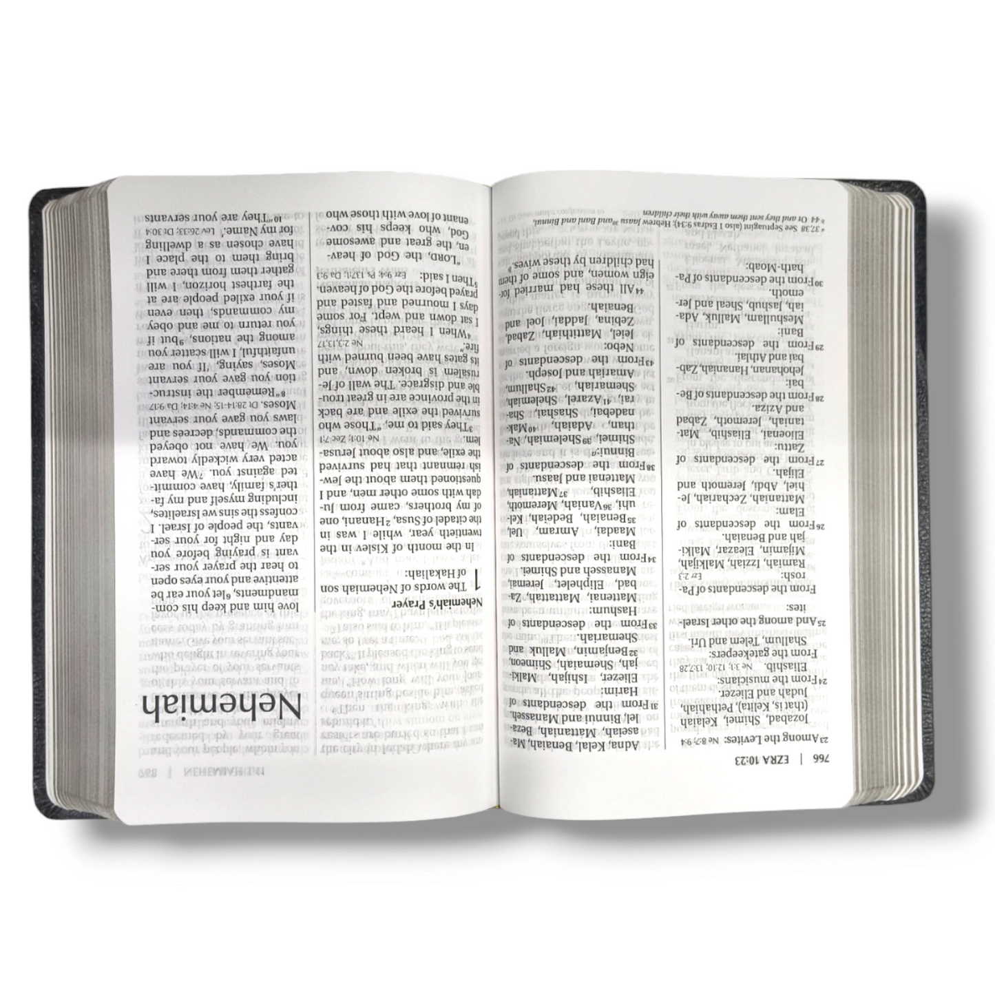 NIV Reference Bible | Large Print | Black Leather Bound | Italian Duo-Tone | New Edition