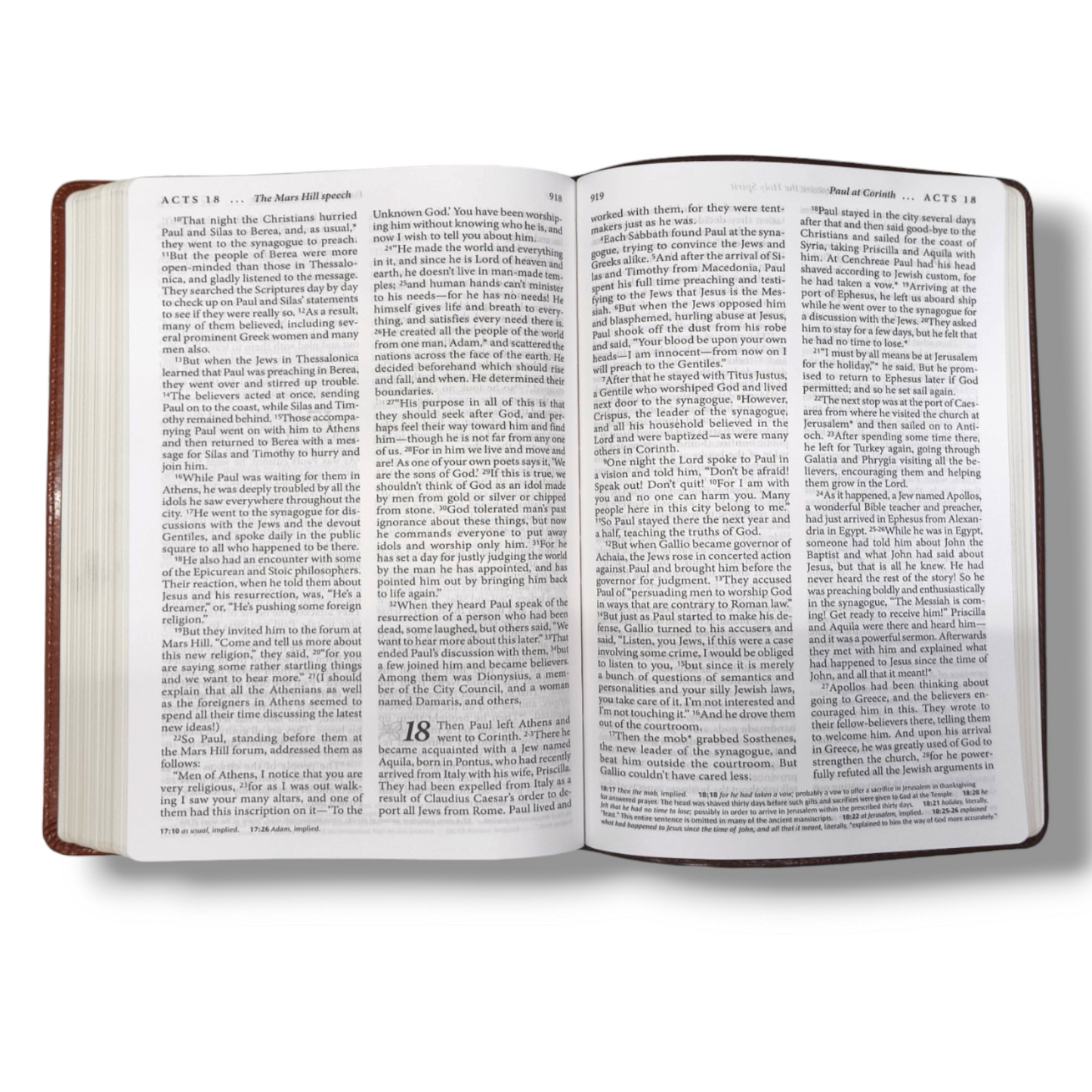 Living Bible Large Print Edition | Brown Tan Tone | Indexed: Paraphrased Brown | New Edition