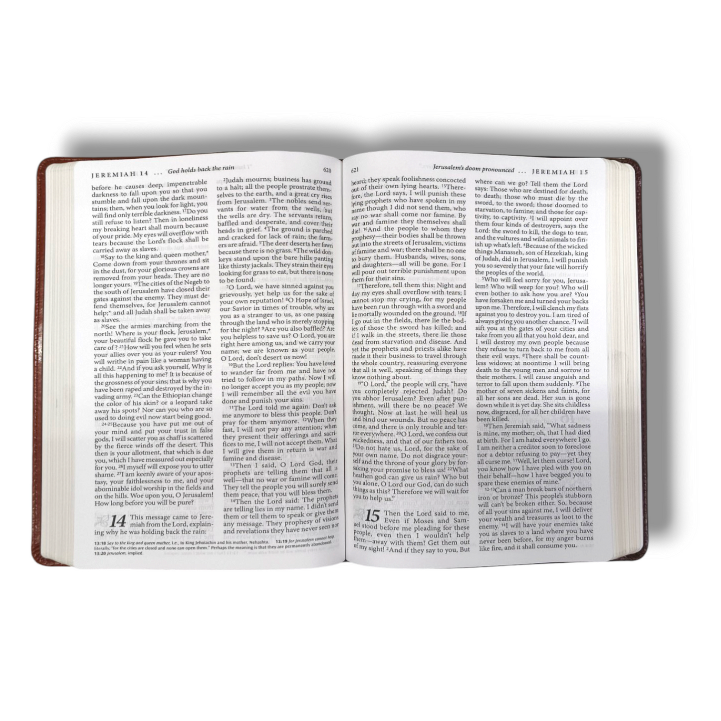 Living Bible Large Print Edition | Brown Tan Tone | Indexed: Paraphrased Brown | New Edition