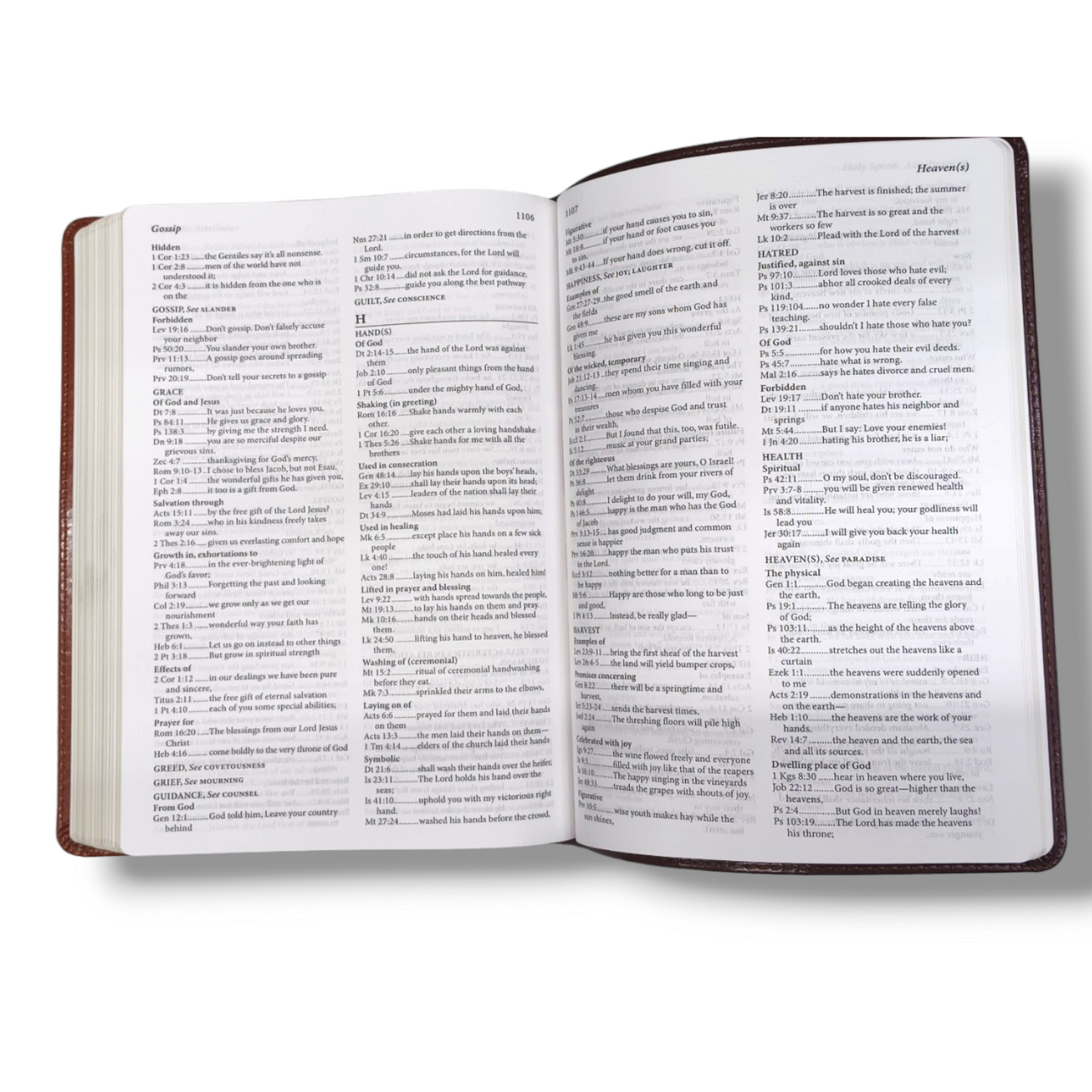 Living Bible Large Print Edition | Brown Tan Tone | Indexed: Paraphrased Brown | New Edition