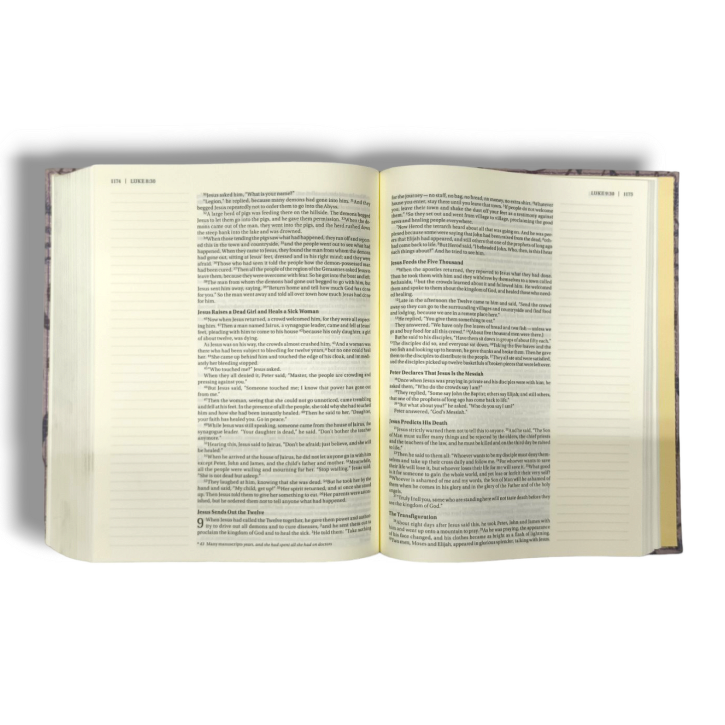 NIV Journal the Word Bible | Cloth over Board | Pink Floral | New Edition | Reflect Take Notes or Create Art Next to Your Favorite Verse