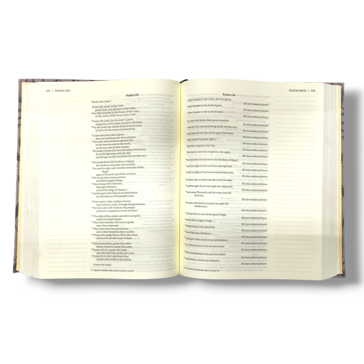 NIV Journal the Word Bible | Cloth over Board | Pink Floral | New Edition | Reflect Take Notes or Create Art Next to Your Favorite Verse