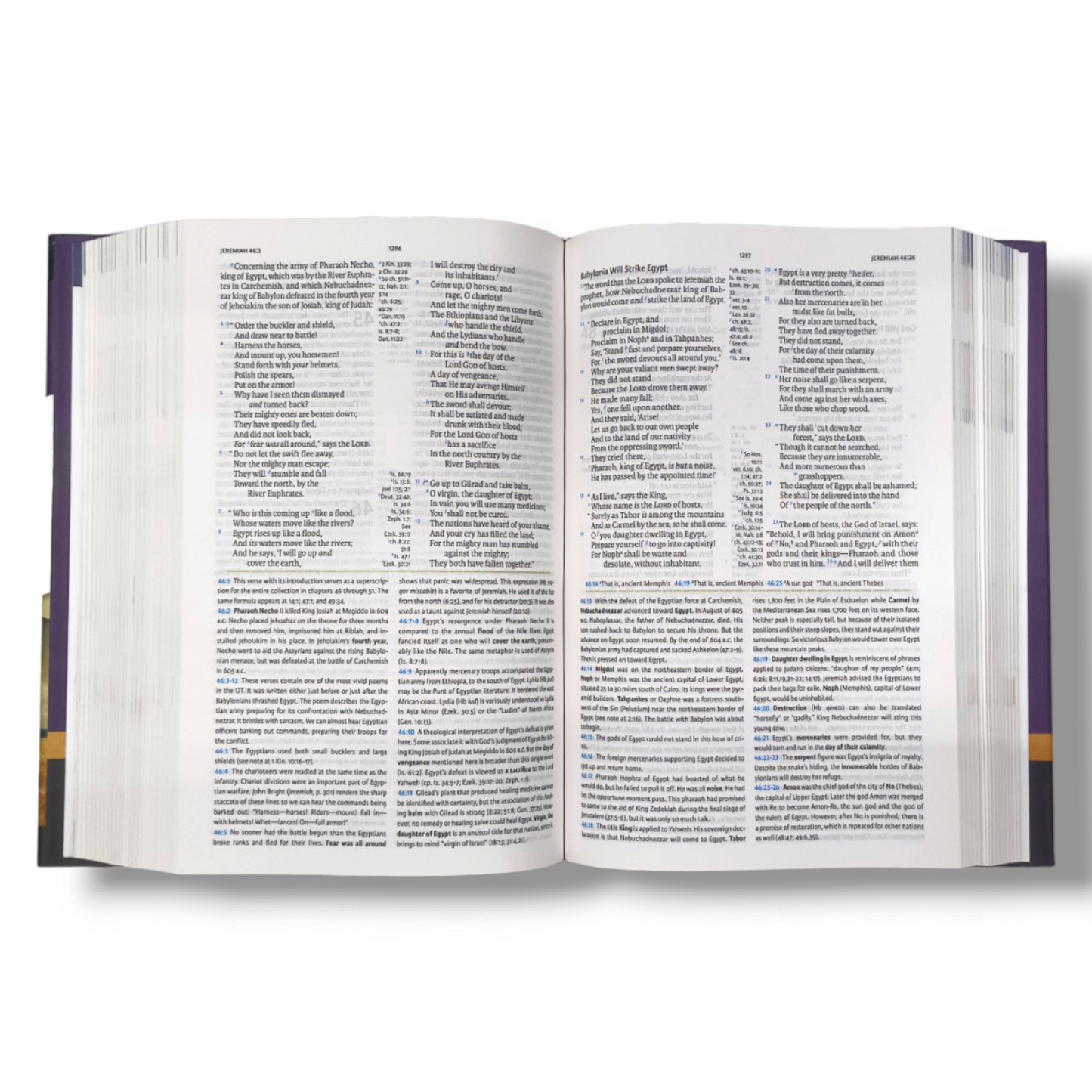 NKJV Holman Full-Color | Study Bible | Personal Size | New Edition | Hard Bound