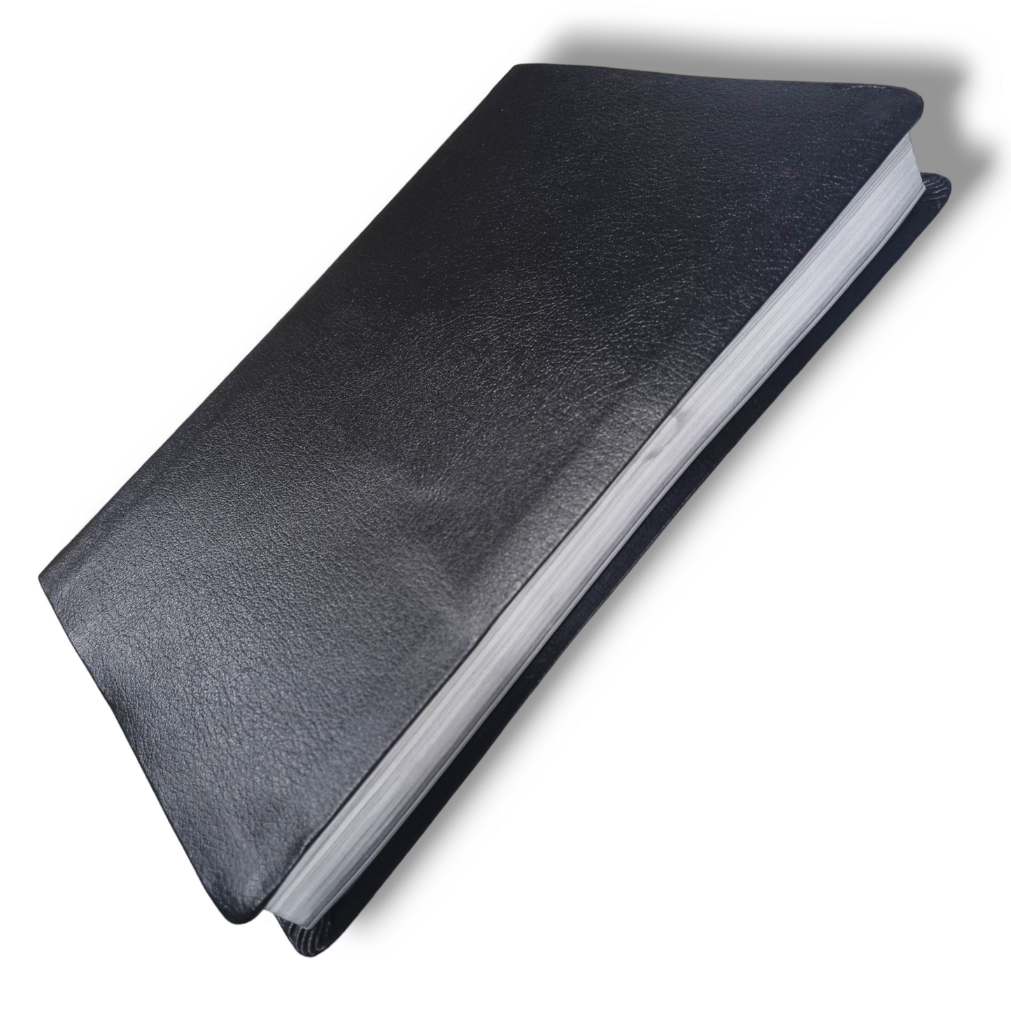 NIV Thinline Bible | Red Letter Edition | Large Print | Black Grey by Zondervan | New Edition