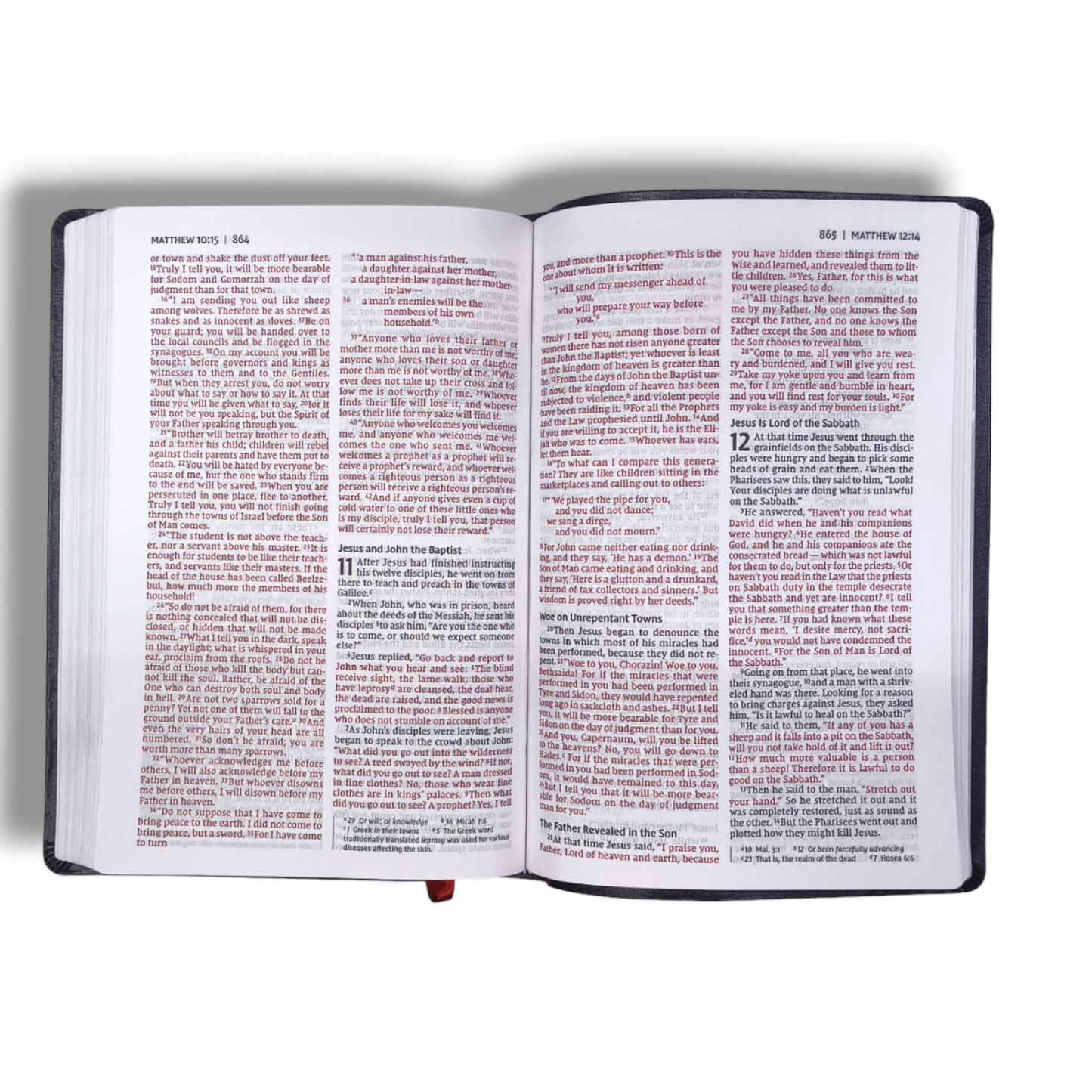 NIV Thinline Bible | Red Letter Edition | Large Print | Black Grey by Zondervan | New Edition
