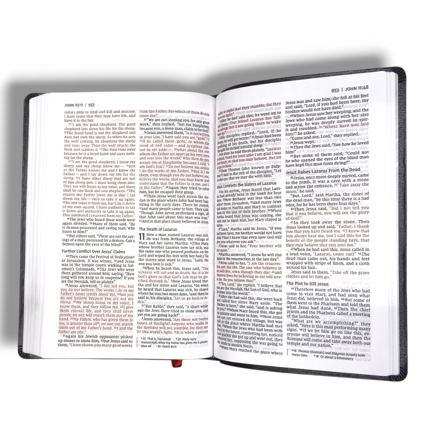 NIV Thinline Bible | Red Letter Edition | Large Print | Black Grey by Zondervan | New Edition