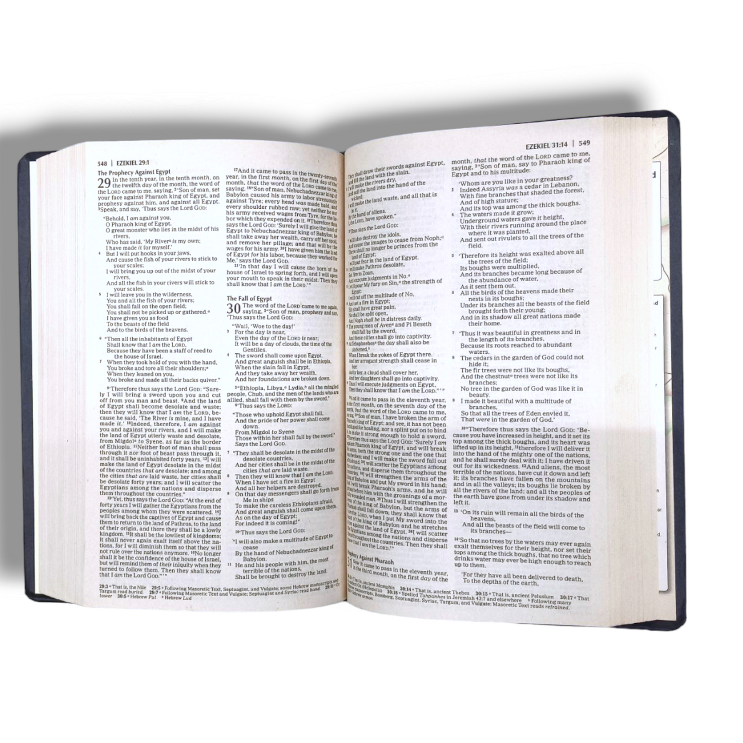NKJV Gift & Award Bible | Classic Series | Red Letter Edition | New Edition