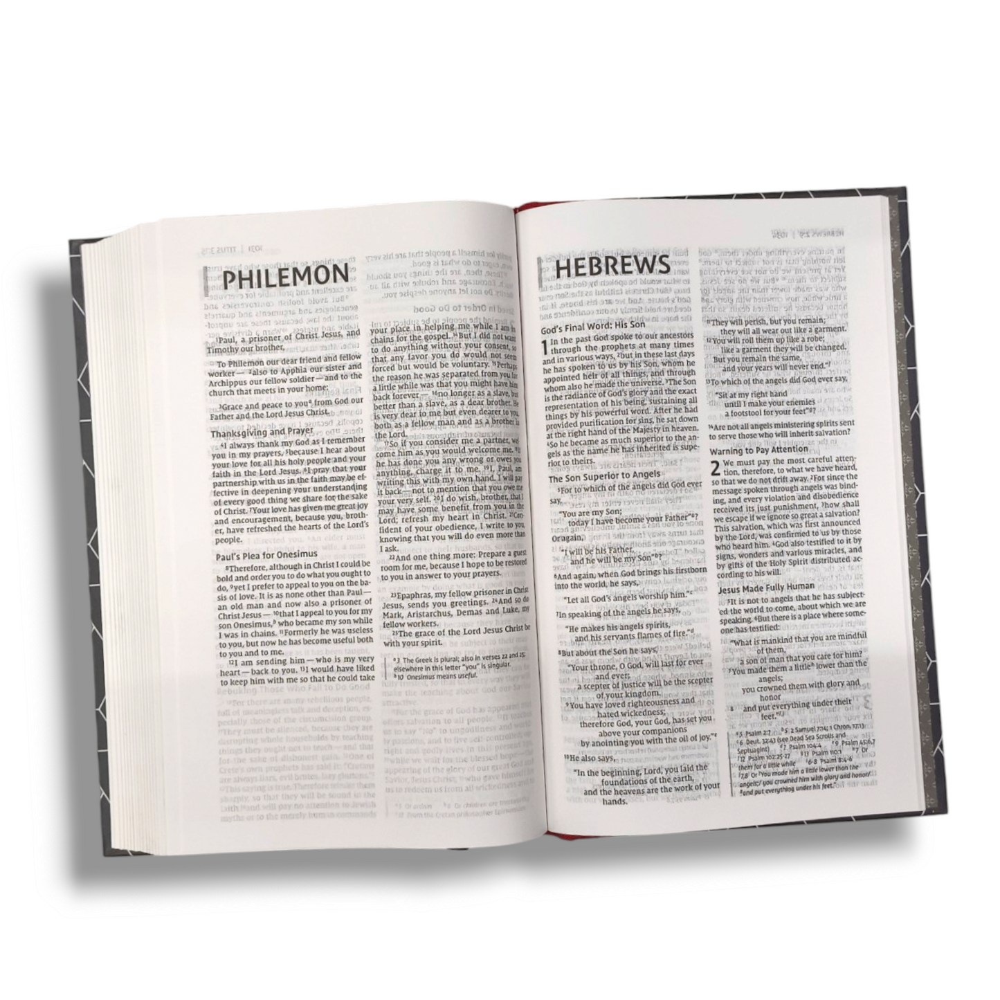 NIV, Thinline Bible | Teens by Zondervan Staff Hardcover | Special Edition | Attractive Design Hard Bound with Lavender Italian Duo-Tone