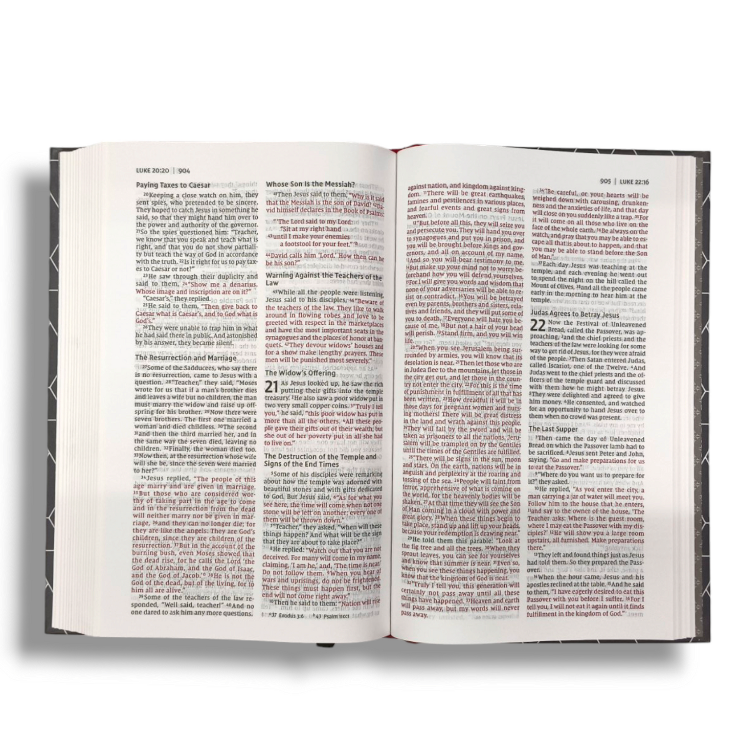 NIV, Thinline Bible | Teens by Zondervan Staff Hardcover | Special Edition | Attractive Design Hard Bound with Lavender Italian Duo-Tone