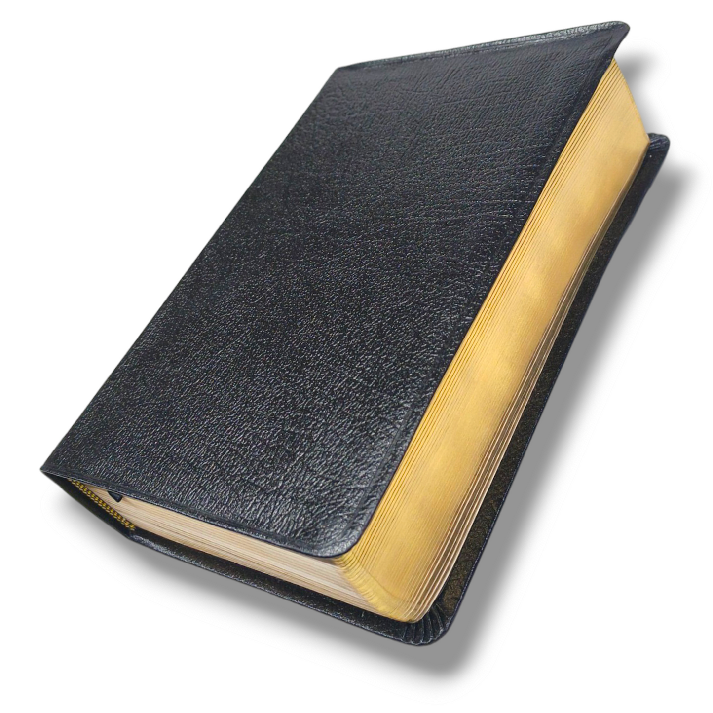 Niv Giant Print Compact Bible | By Zondervan Staff | Premium Leather | New Edition