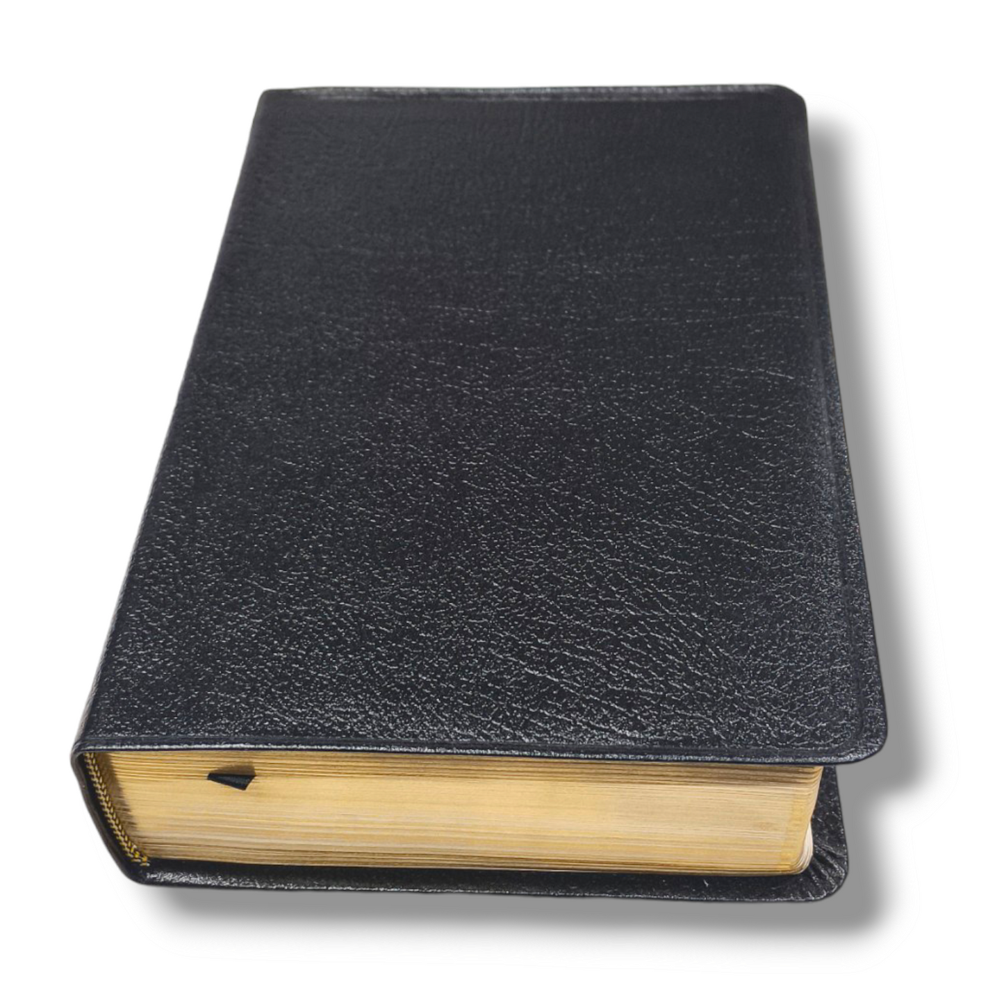 Niv Giant Print Compact Bible | By Zondervan Staff | Premium Leather | New Edition