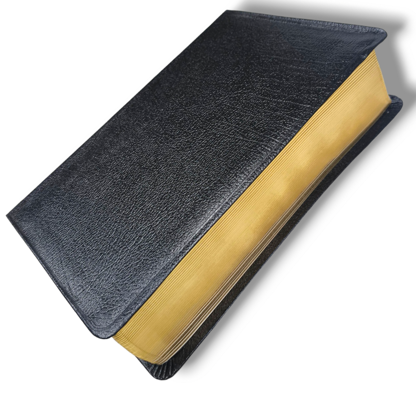 Niv Giant Print Compact Bible | By Zondervan Staff | Premium Leather | New Edition