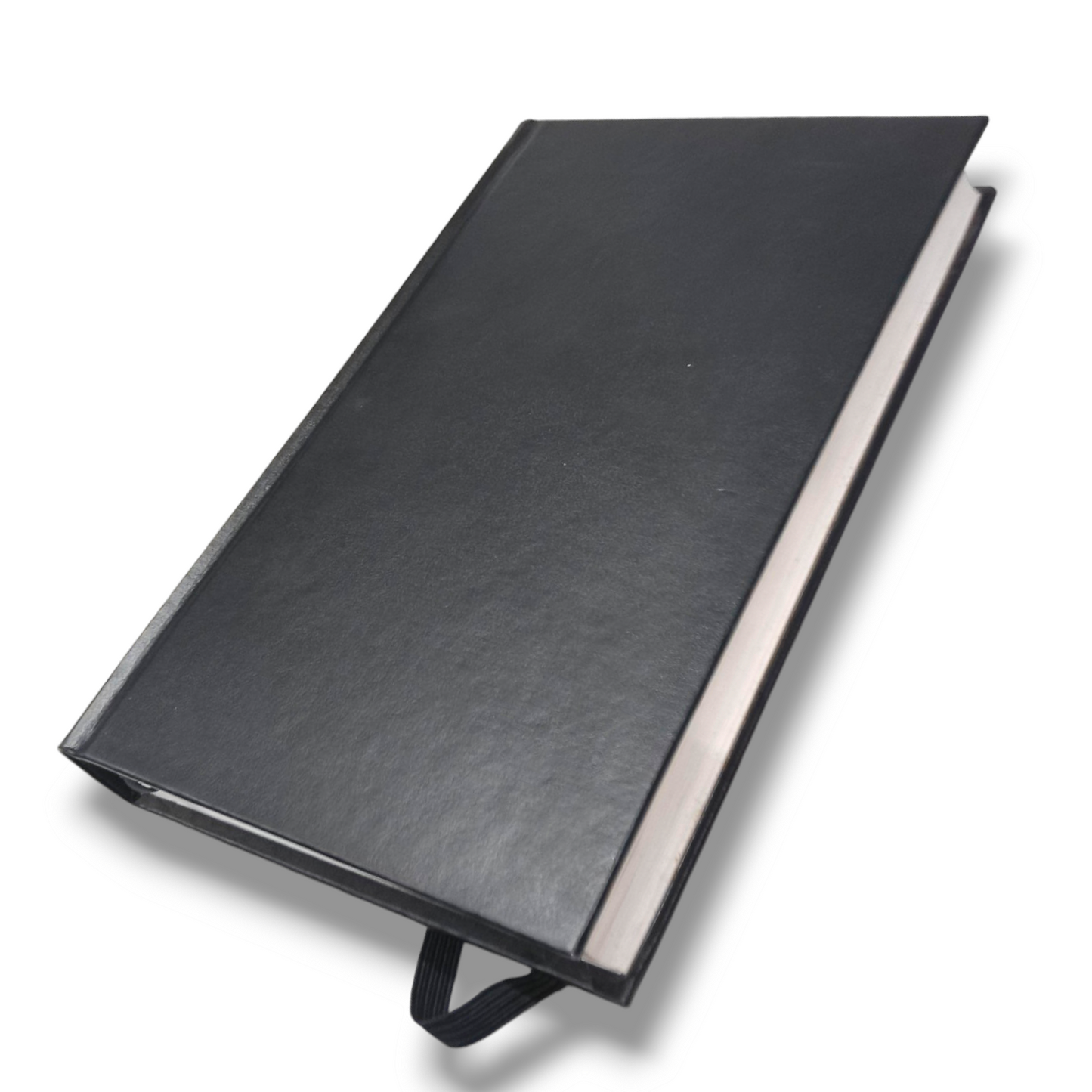 ESV English Standard Version | Medium Size | Red Letter | New Edition