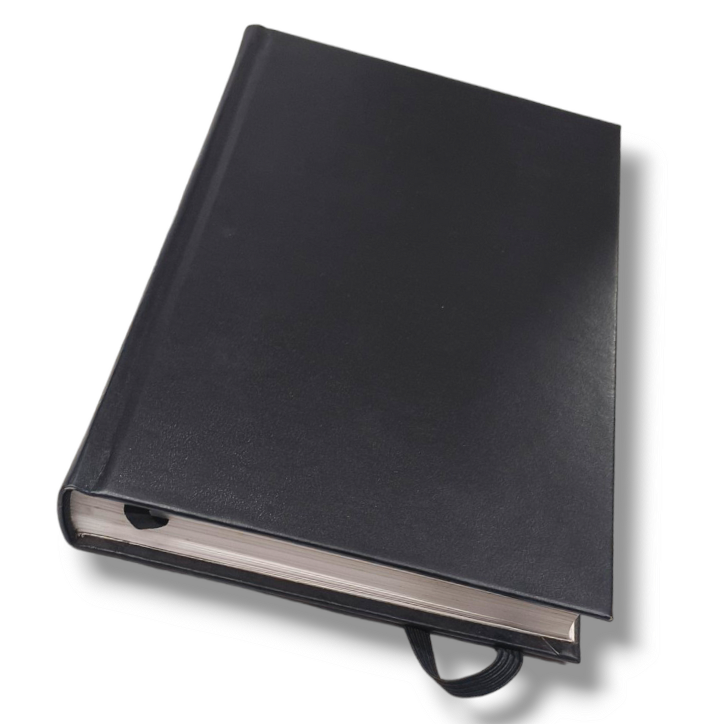 ESV English Standard Version | Medium Size | Red Letter | New Edition