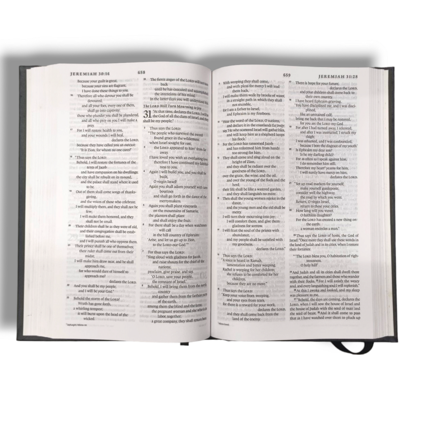 ESV English Standard Version | Medium Size | Red Letter | New Edition