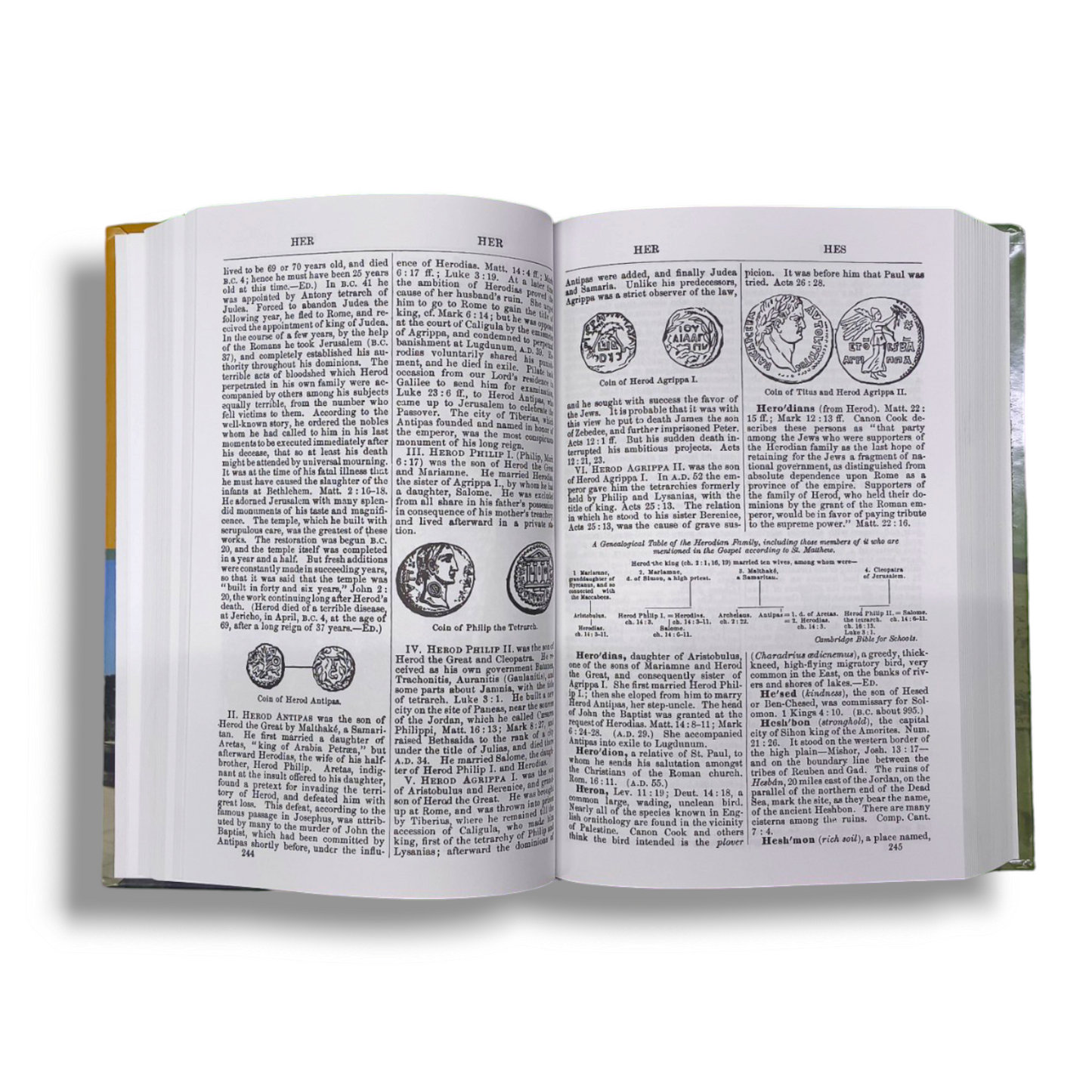 Smith's Bible Dictionary : More Than 6,000 Detailed Definitions, Articles, and Illustrations by William Smith Jr | Hard Bound | New Edition