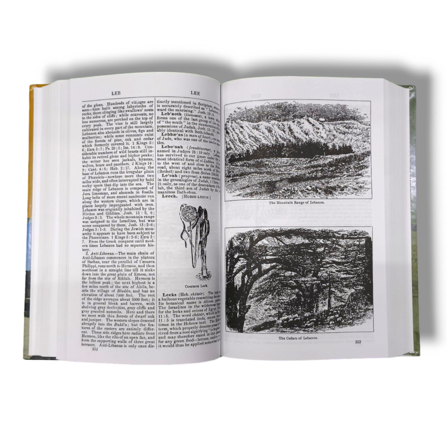 Smith's Bible Dictionary : More Than 6,000 Detailed Definitions, Articles, and Illustrations by William Smith Jr | Hard Bound | New Edition