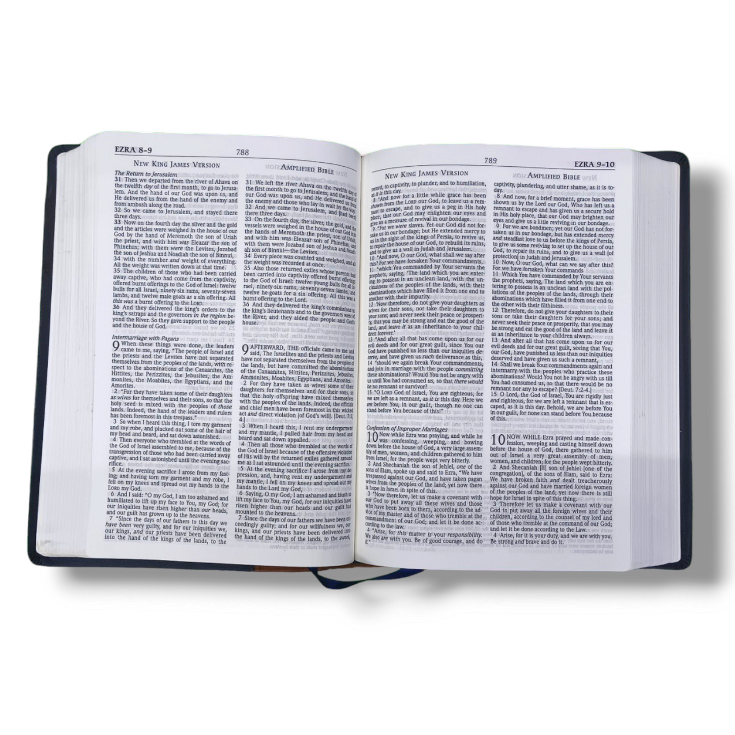 NKJV -AMPLIFIED | PARALLEL LARGE-PRINT BIBLE | BLUE-BROWN FLEXI SOFT | STUDY BIBLE | NEW EDITION