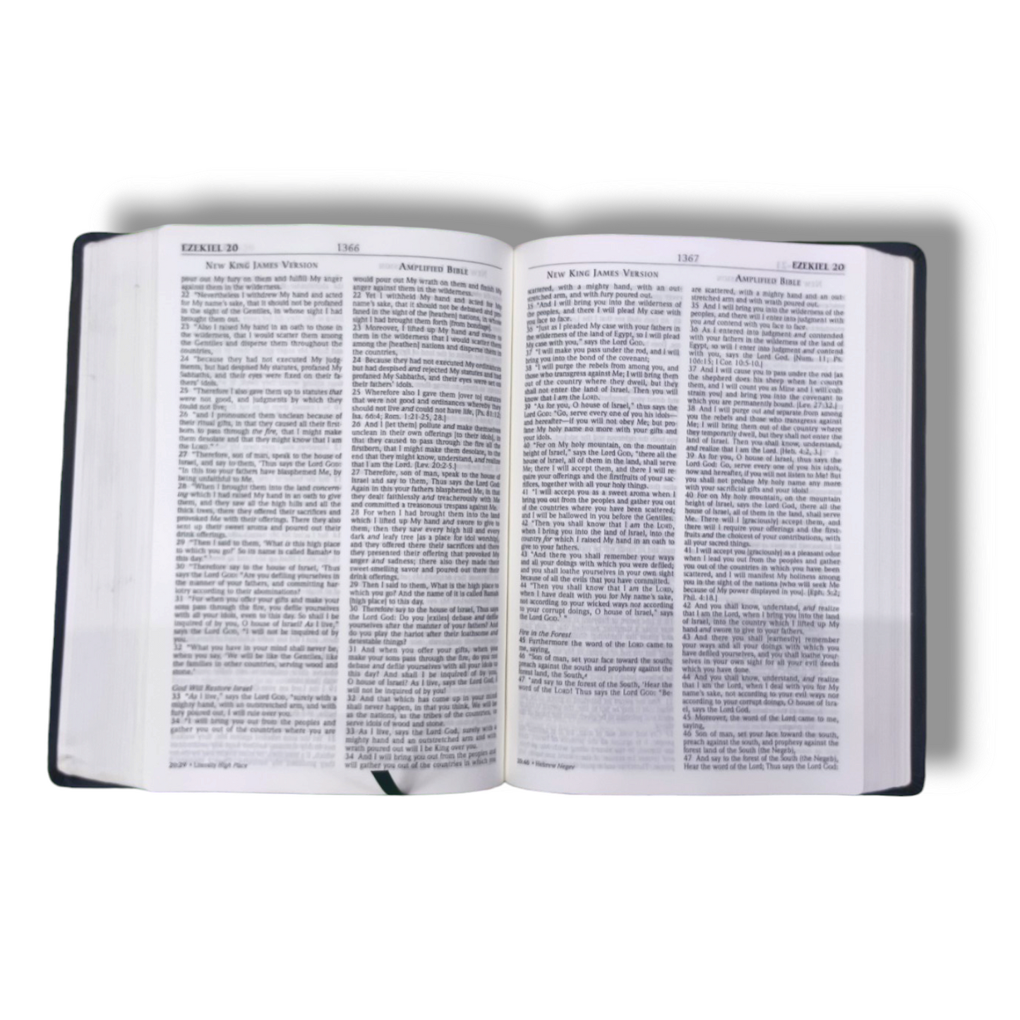 NKJV -AMPLIFIED | PARALLEL LARGE-PRINT BIBLE | BLUE-BROWN FLEXI SOFT | STUDY BIBLE | NEW EDITION