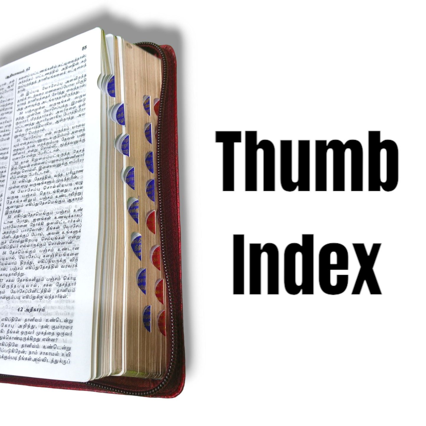 Tamil Bible With Thumb Index | Sliver Color Cover With Zip | New Edition | Compact Size