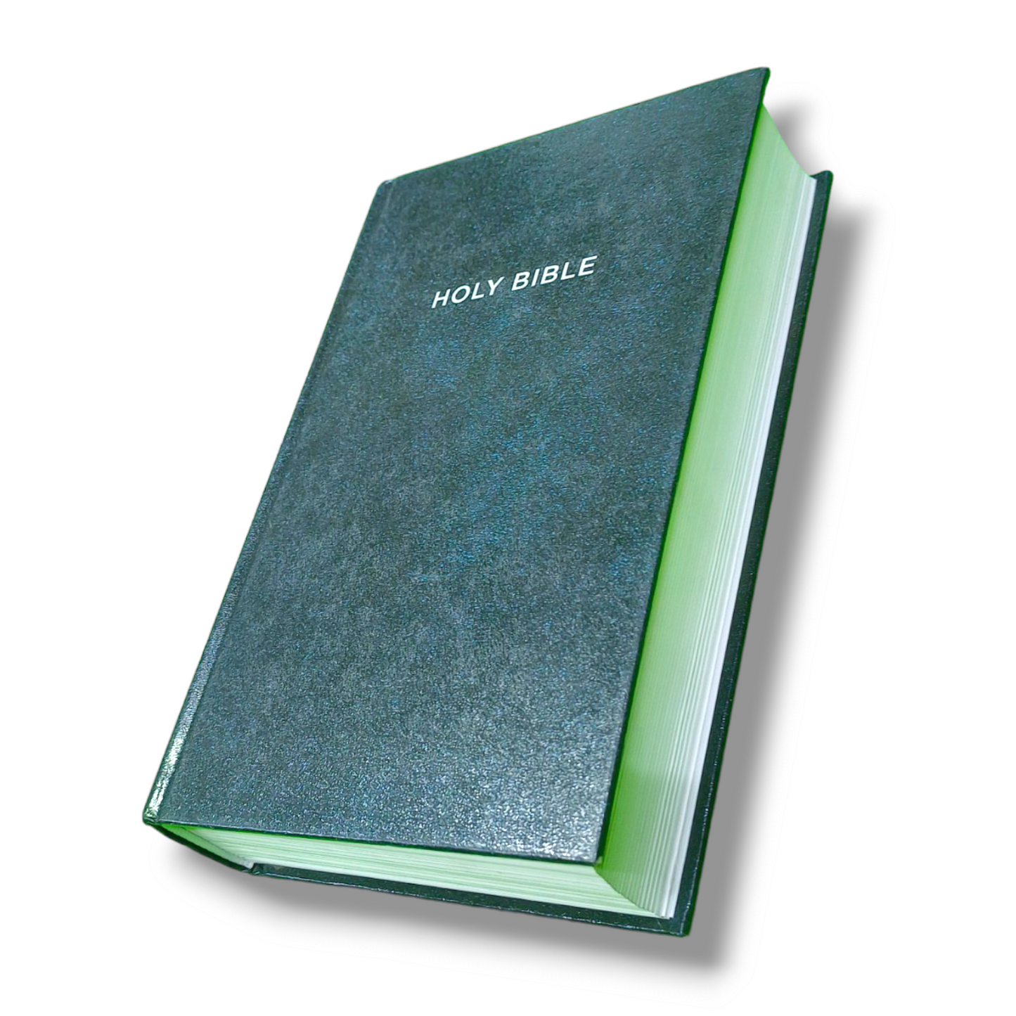 NIV Bible For Men | Hard Bound Cover | New Edition | Medium Size